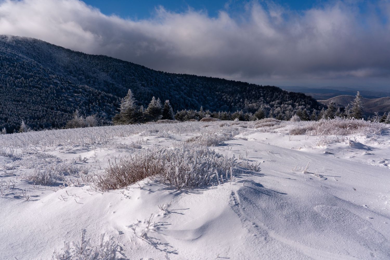 Snow-drifted winter landscape with frozen grasses and a forested mountain backdrop.