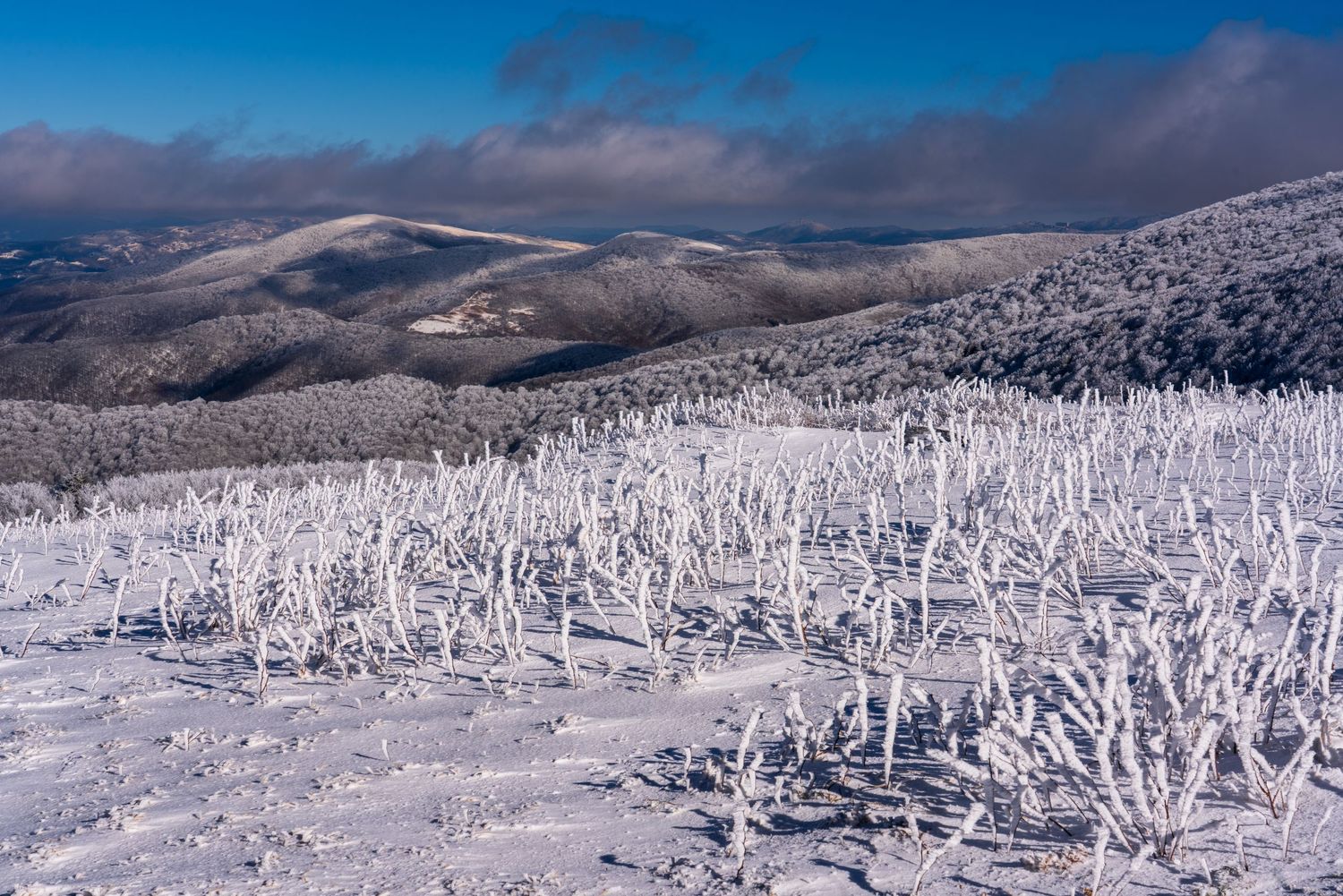 Snow-covered mountain slopes with frost-encrusted shrubs stretch toward distant blue peaks under a partly cloudy sky.