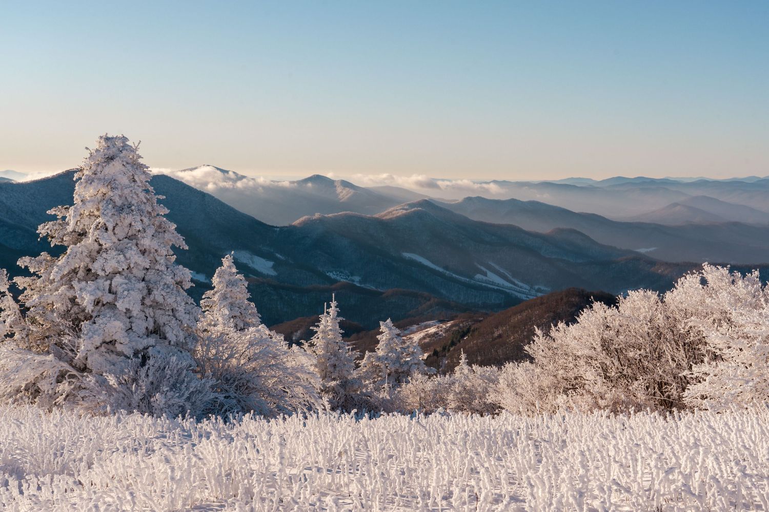 Snow-covered evergreen trees and frost-laden shrubs frame a stunning winter mountain landscape under a clear blue sky.