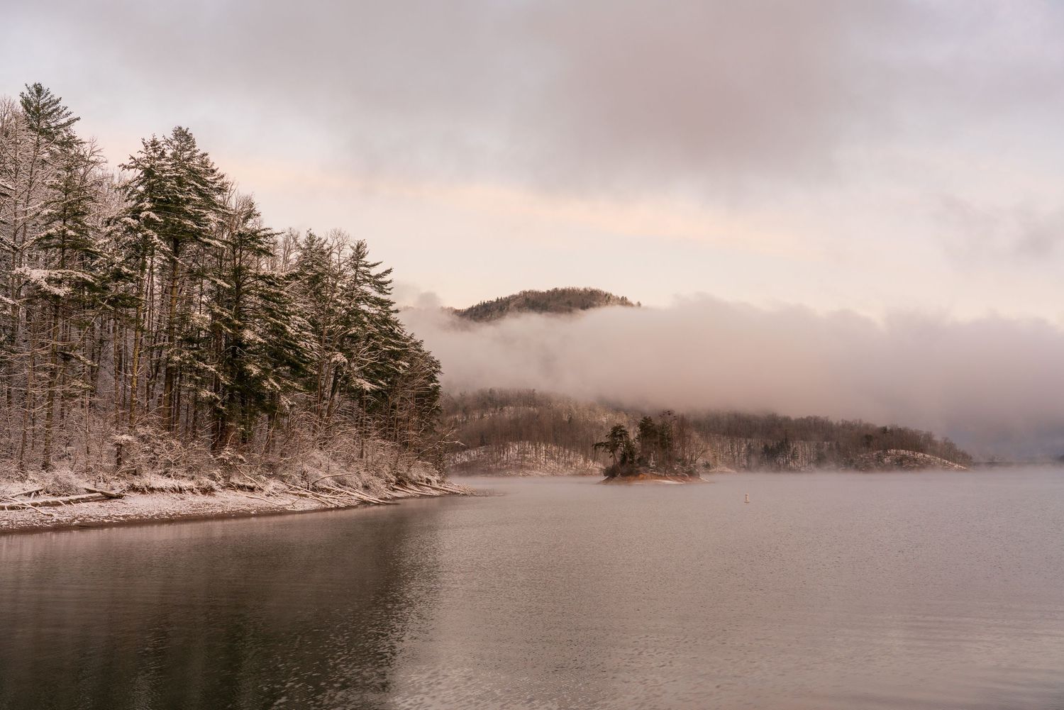 Snow-dusted pine trees line a misty winter lake shore with fog-covered hills in the soft pink twilight.