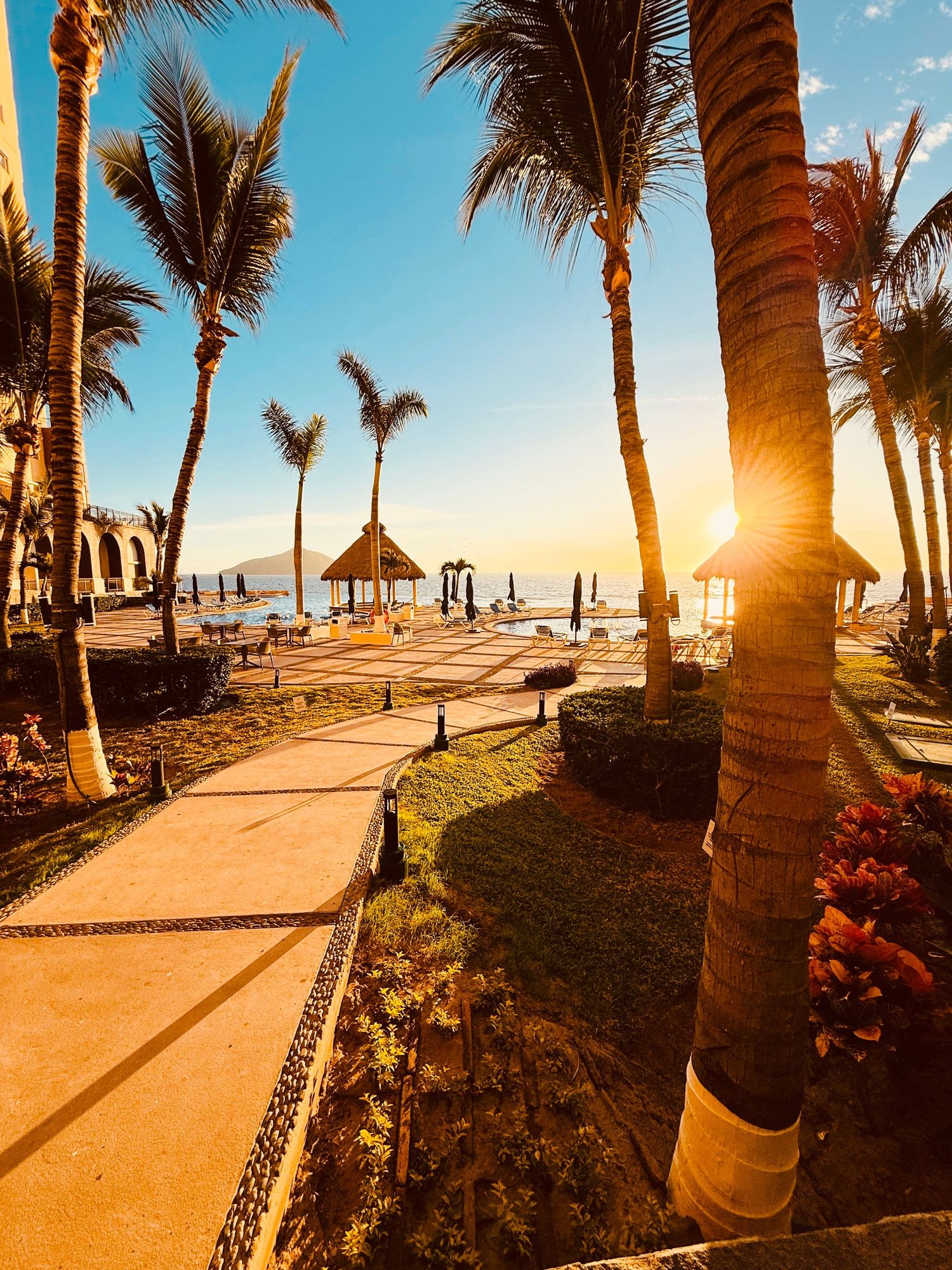 Golden sunset through tall palm trees along a tropical resort pathway leading to a beachfront palapa.