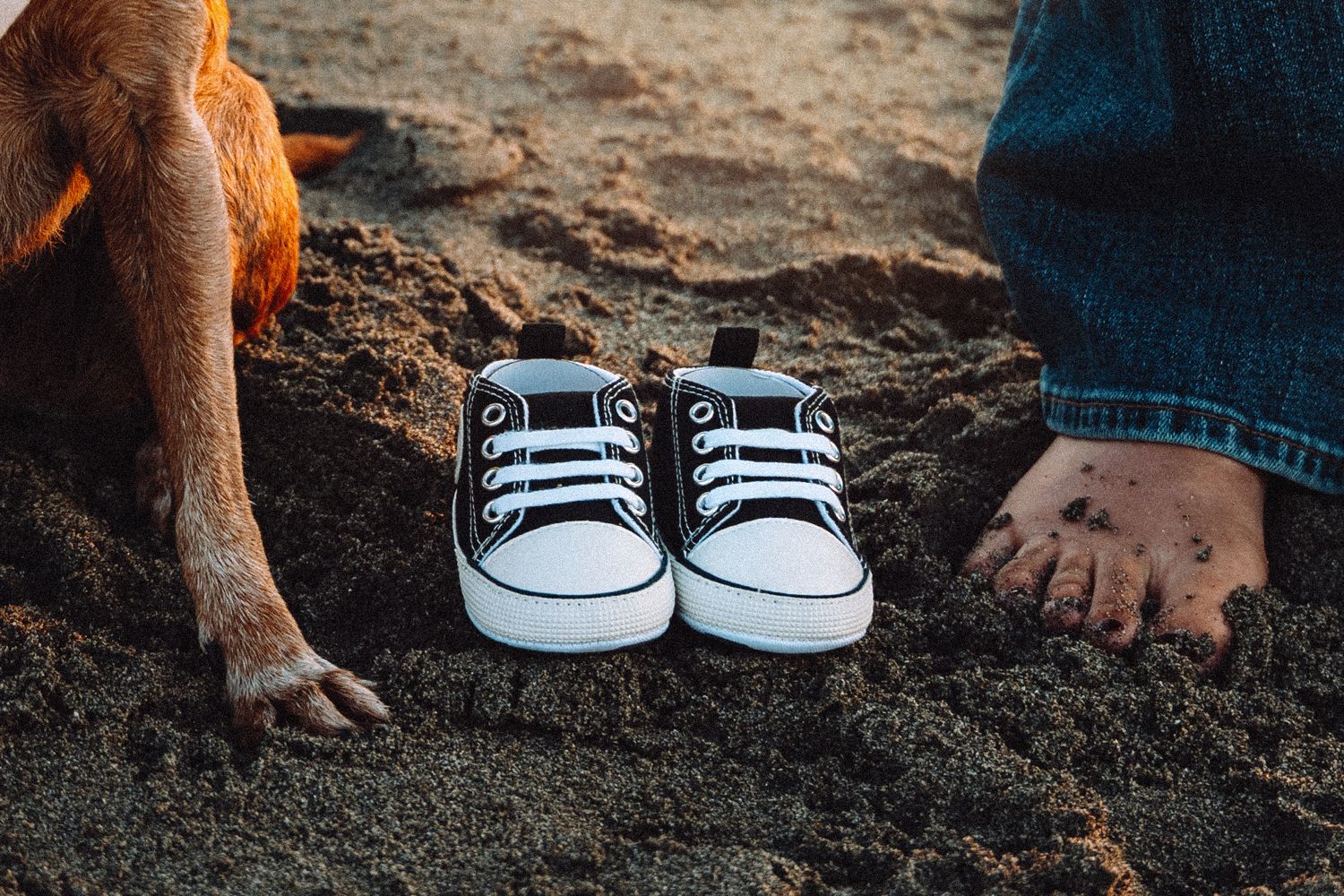 Baby sneakers on sand between a dog paw and bare human feet, pregnancy announcement photo.