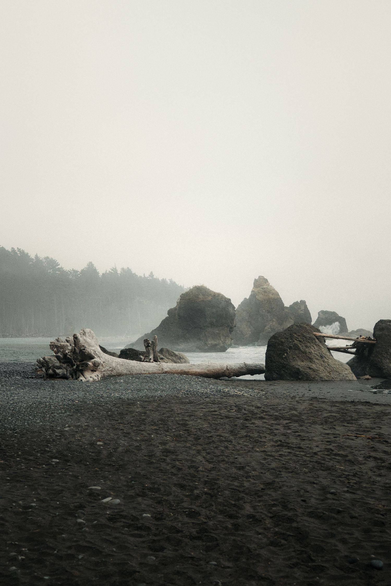 Misty black sand beach with driftwood and sea stacks shrouded in fog, dense forest in background.