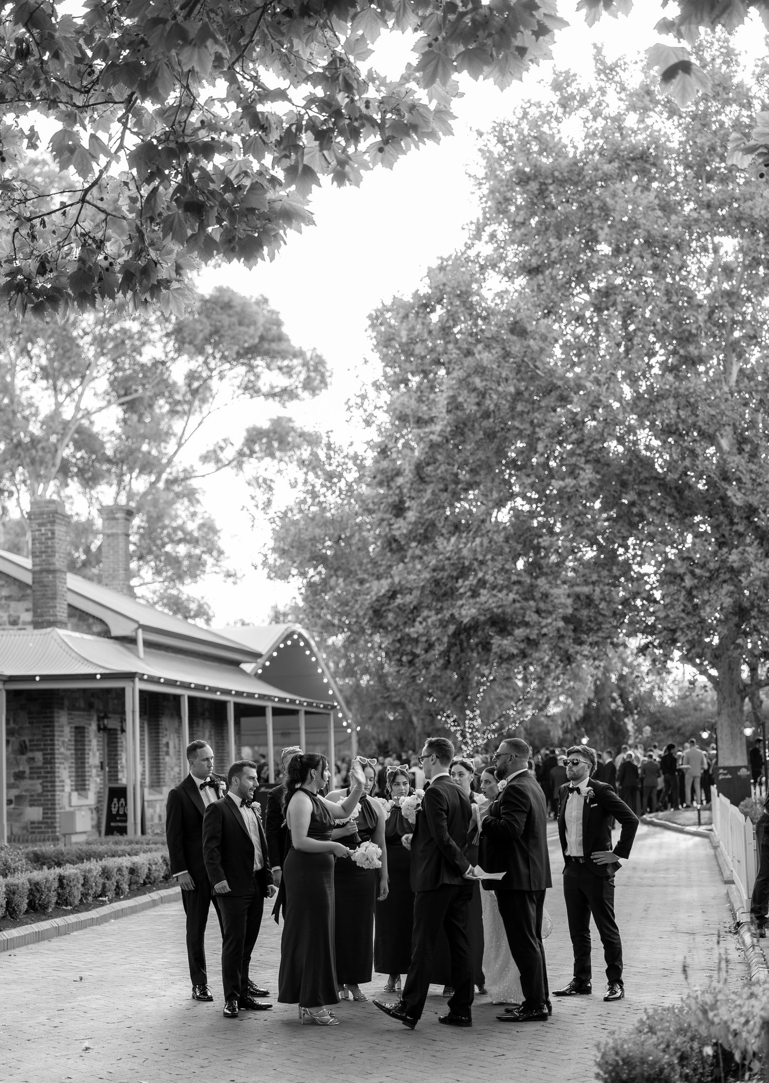 Black and white photo of elegantly dressed wedding guests socializing outdoors along a tree-lined pathway.