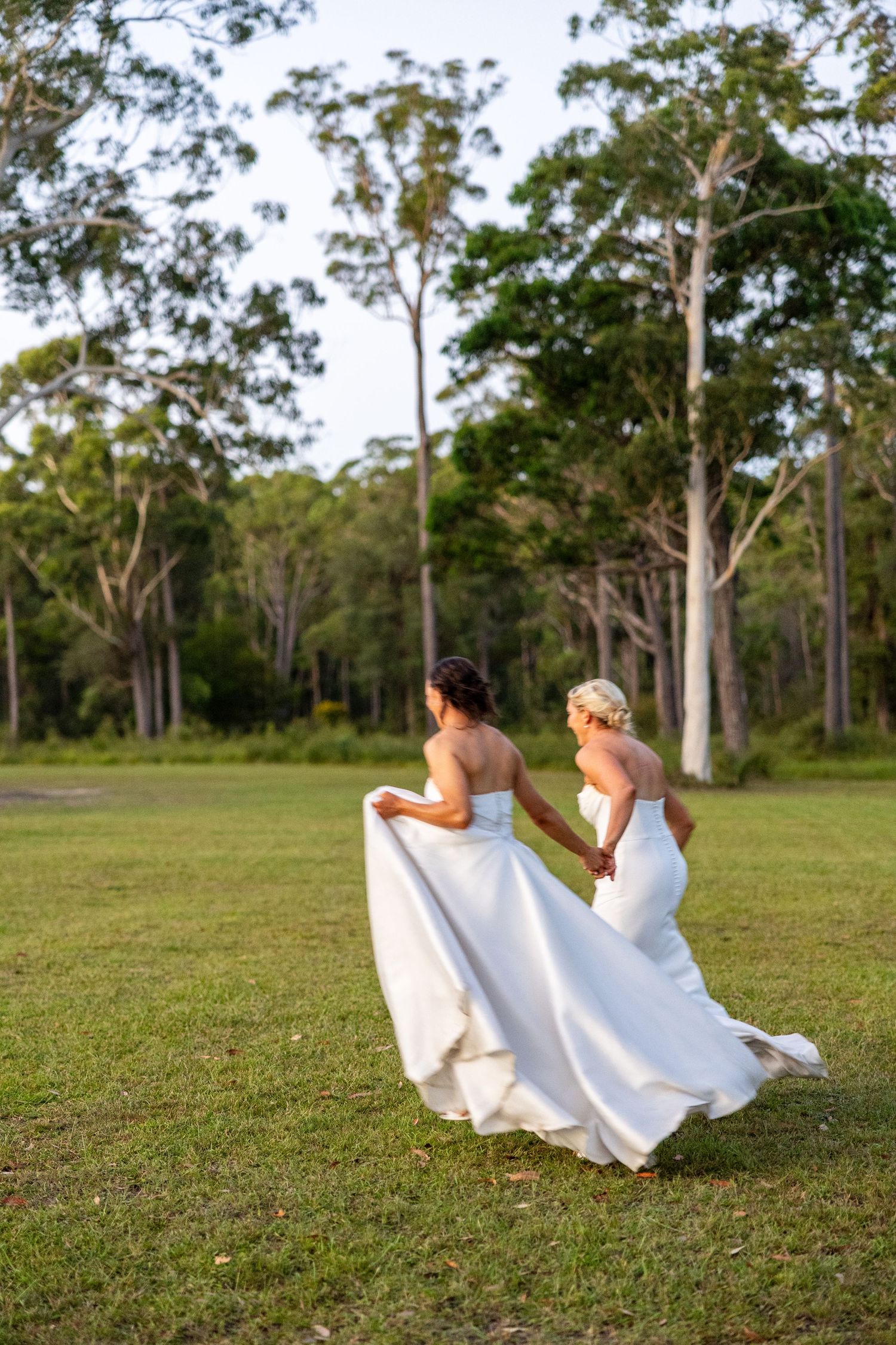 Two brides in white gowns walk hand-in-hand across a lush green field surrounded by tall eucalyptus trees.