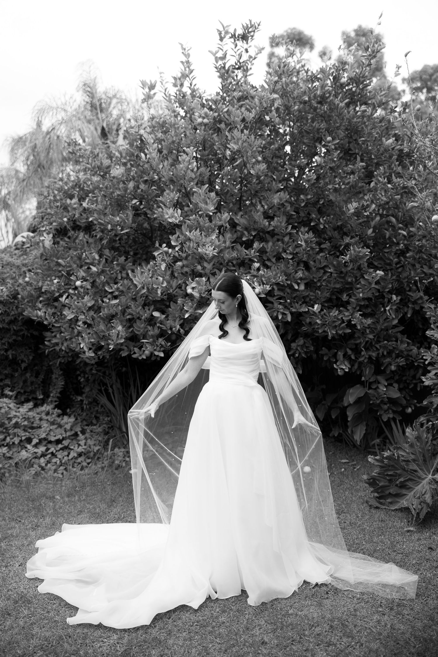 Black and white photo of a bride in a flowing white gown and long veil standing in a lush garden.