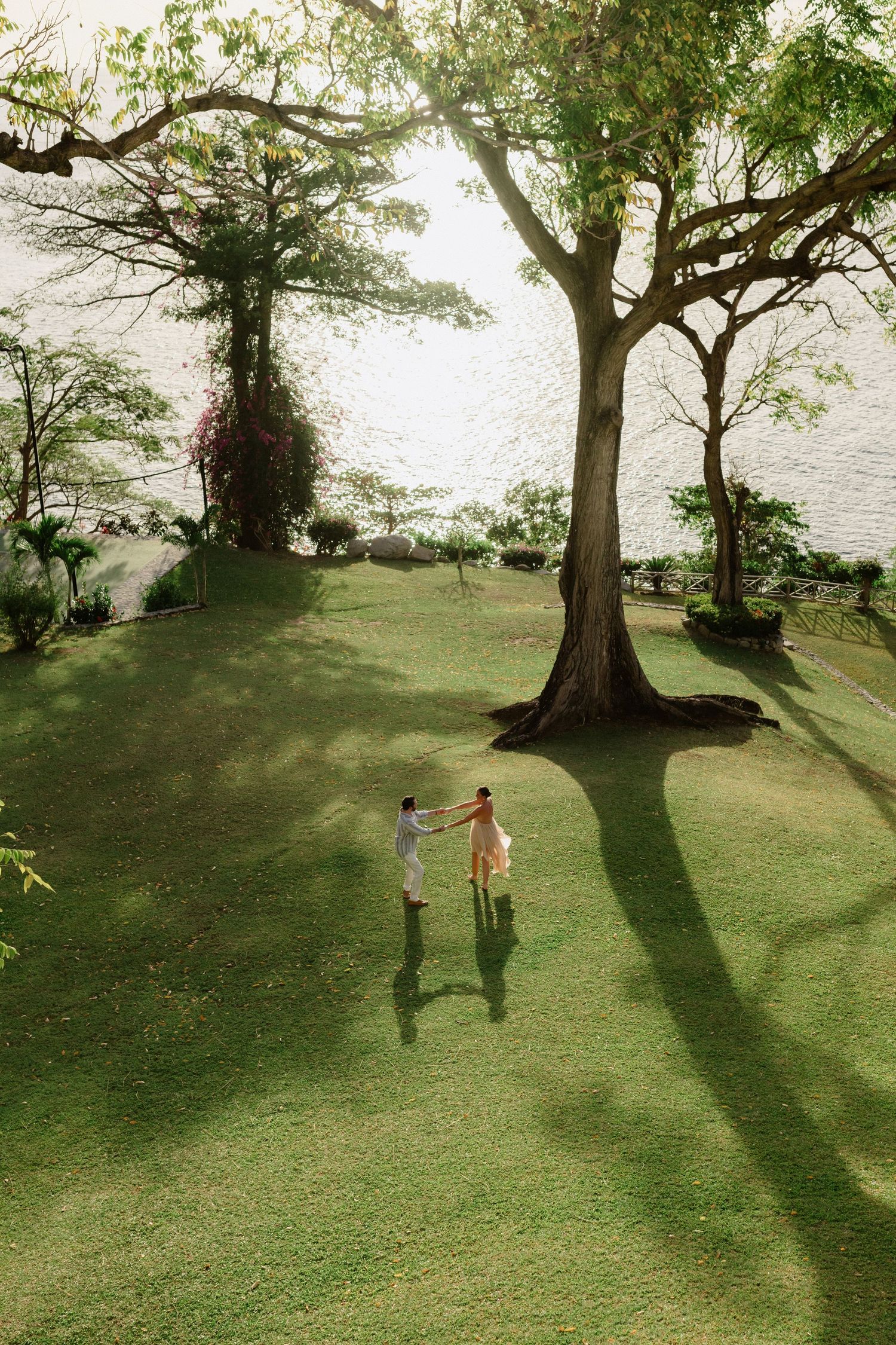 Aerial view of couple holding hands on green lawn beneath large tropical trees near waterfront. St Lucia Wedding photographer