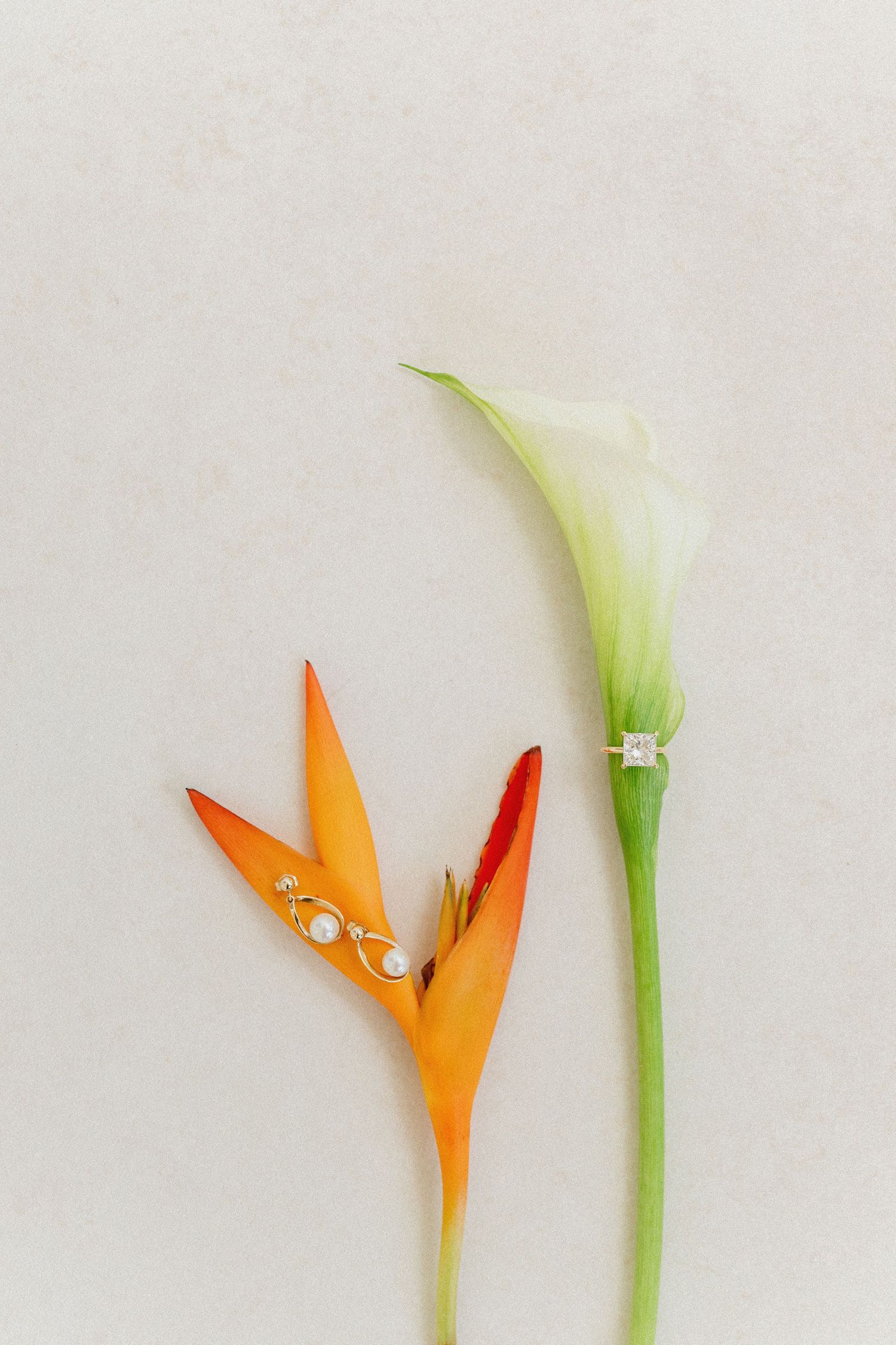 Wedding rings displayed on white calla lily and orange bird of paradise flowers on neutral background. Barbados wedding photographer