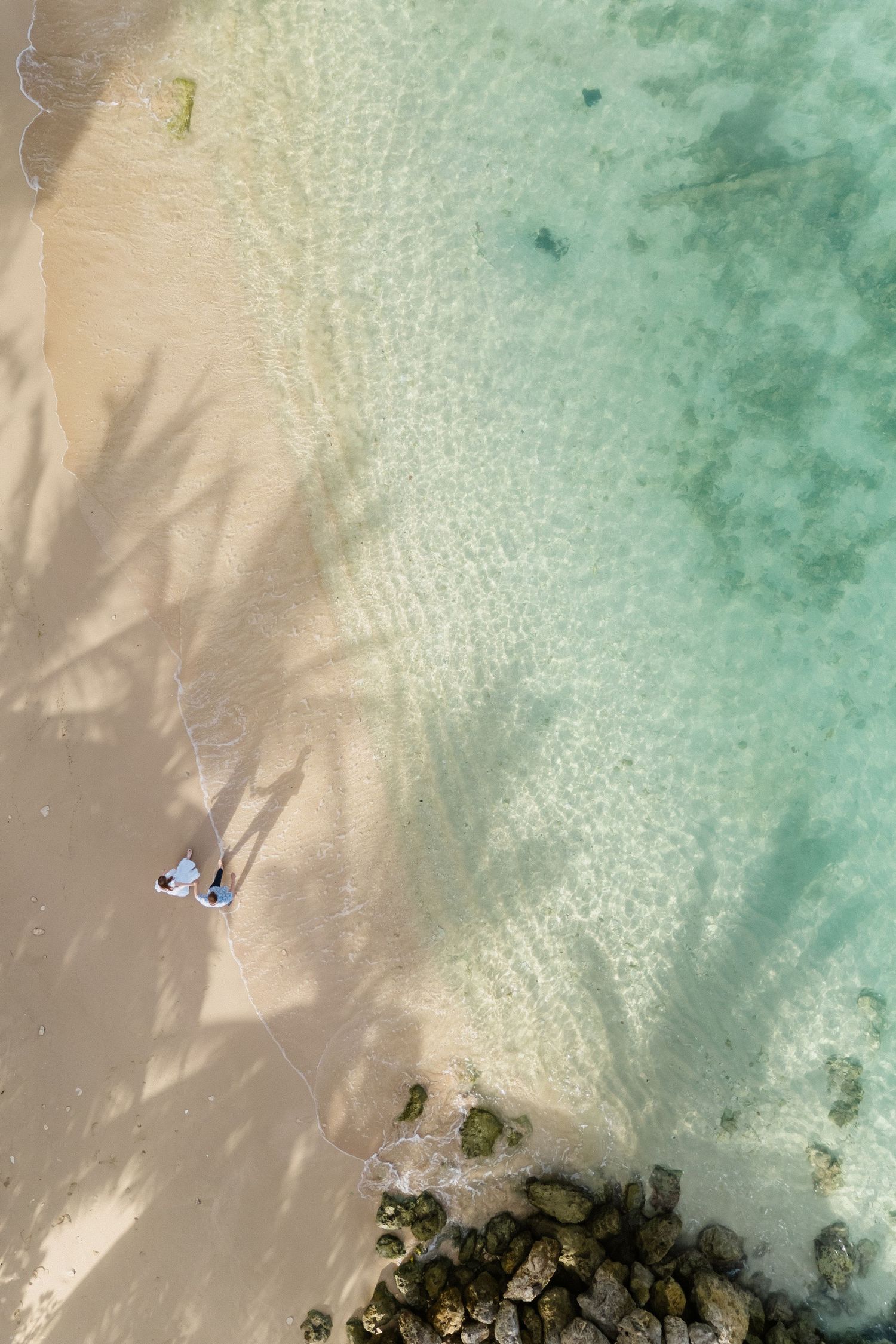 Aerial drone view of bride and groom on white sand beach with turquoise water and palm tree shadows. Cobblers cove. Barbados photographer