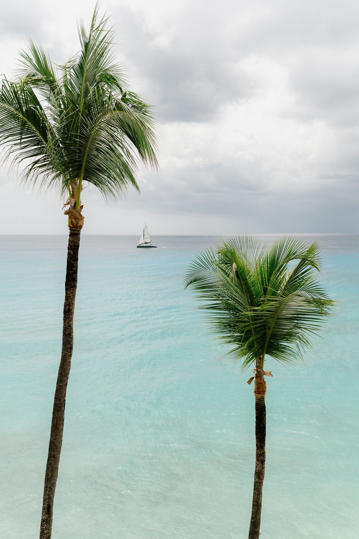 Two tall palm trees framing turquoise Caribbean ocean with sailboat under cloudy sky. Barbados photographer