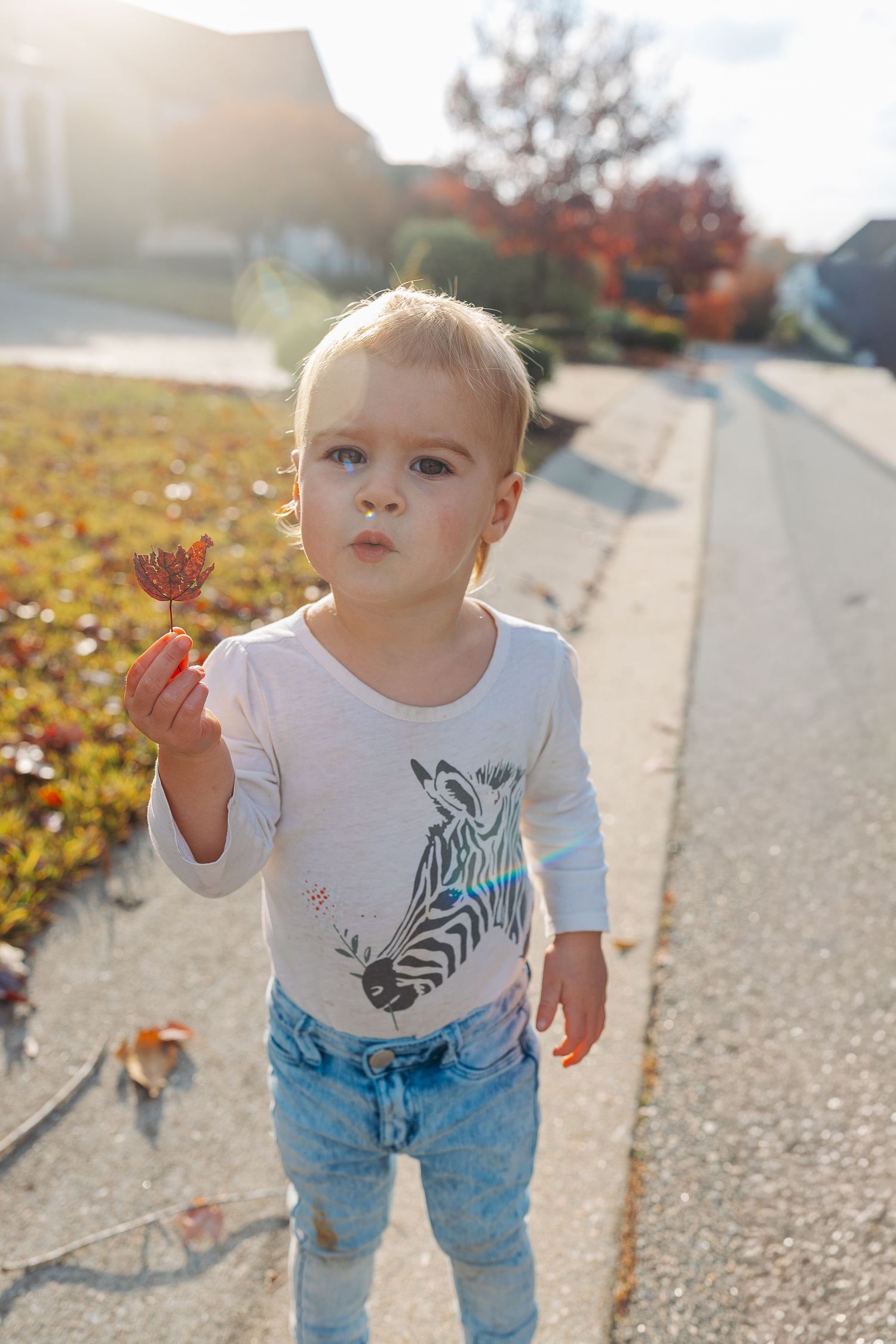 Adorable blonde toddler girl holding autumn leaf on sunny suburban sidewalk in fall.  | Karina Thomson Photography Raleigh NC