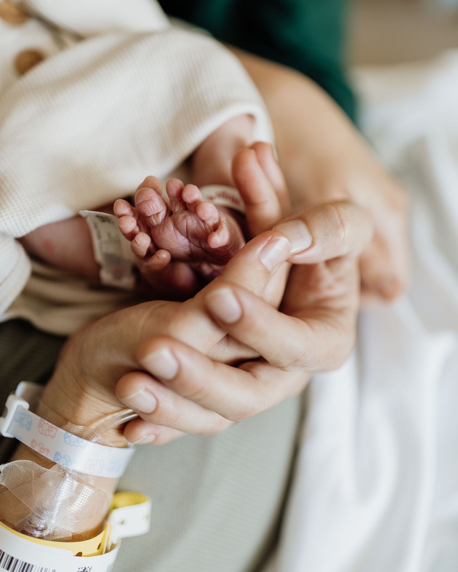 Close-up of a parent holding a newborn baby's tiny hand, with hospital ID bracelet visible on wrist.  | Karina Thomson Photography Raleigh N