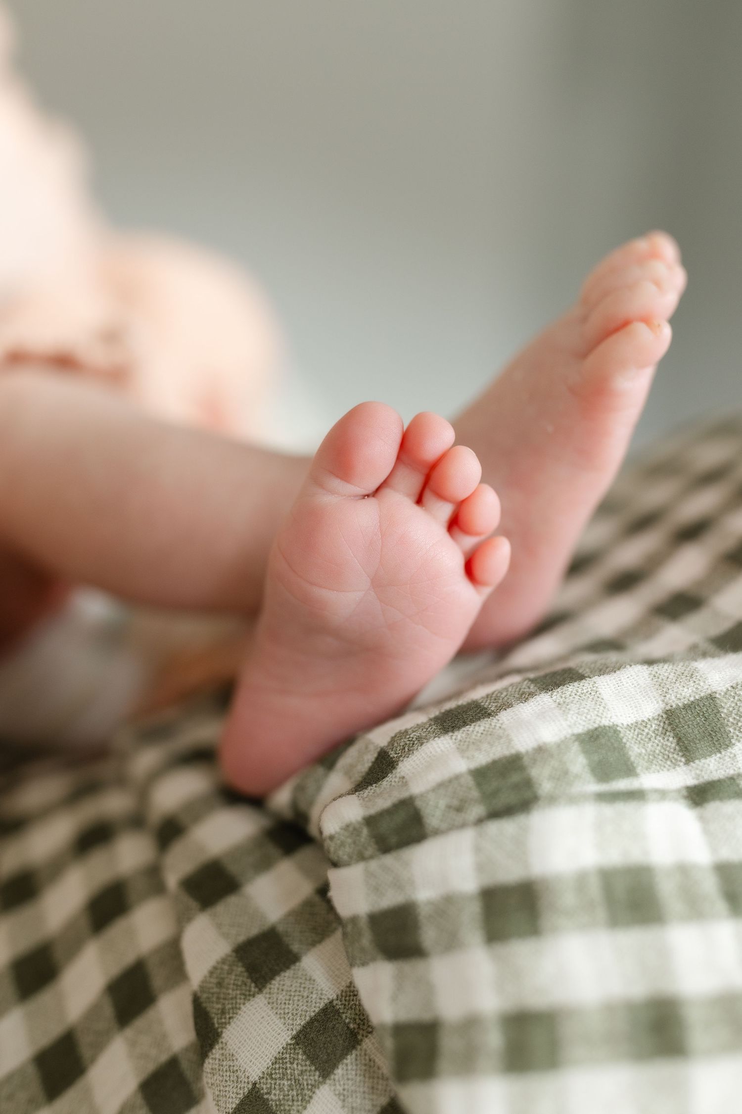 Close-up of tiny newborn baby feet resting on a green and white gingham blanket.  | Karina Thomson Photography Raleigh NC