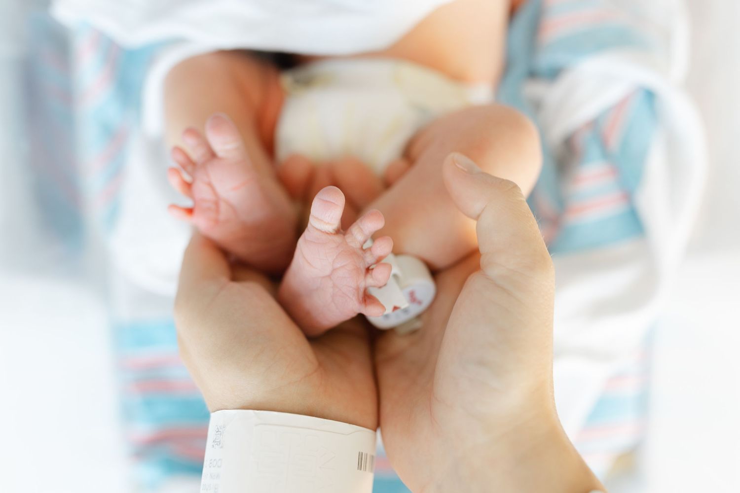 Adult hands gently cradling tiny newborn baby feet with a hospital identification bracelet.