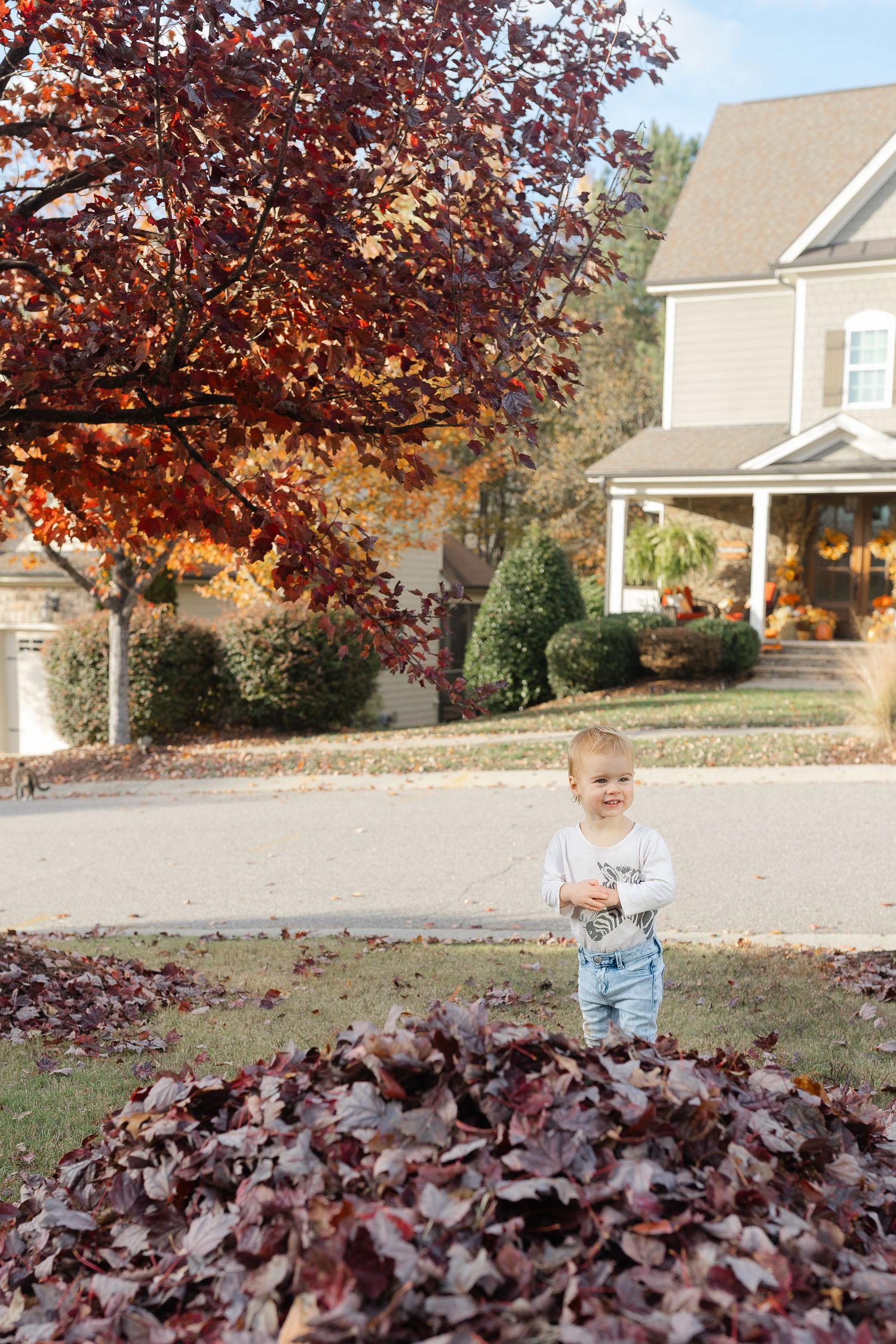 A toddler stands beside a pile of autumn leaves in a suburban neighborhood yard.  | Karina Thomson Photography Raleigh NC