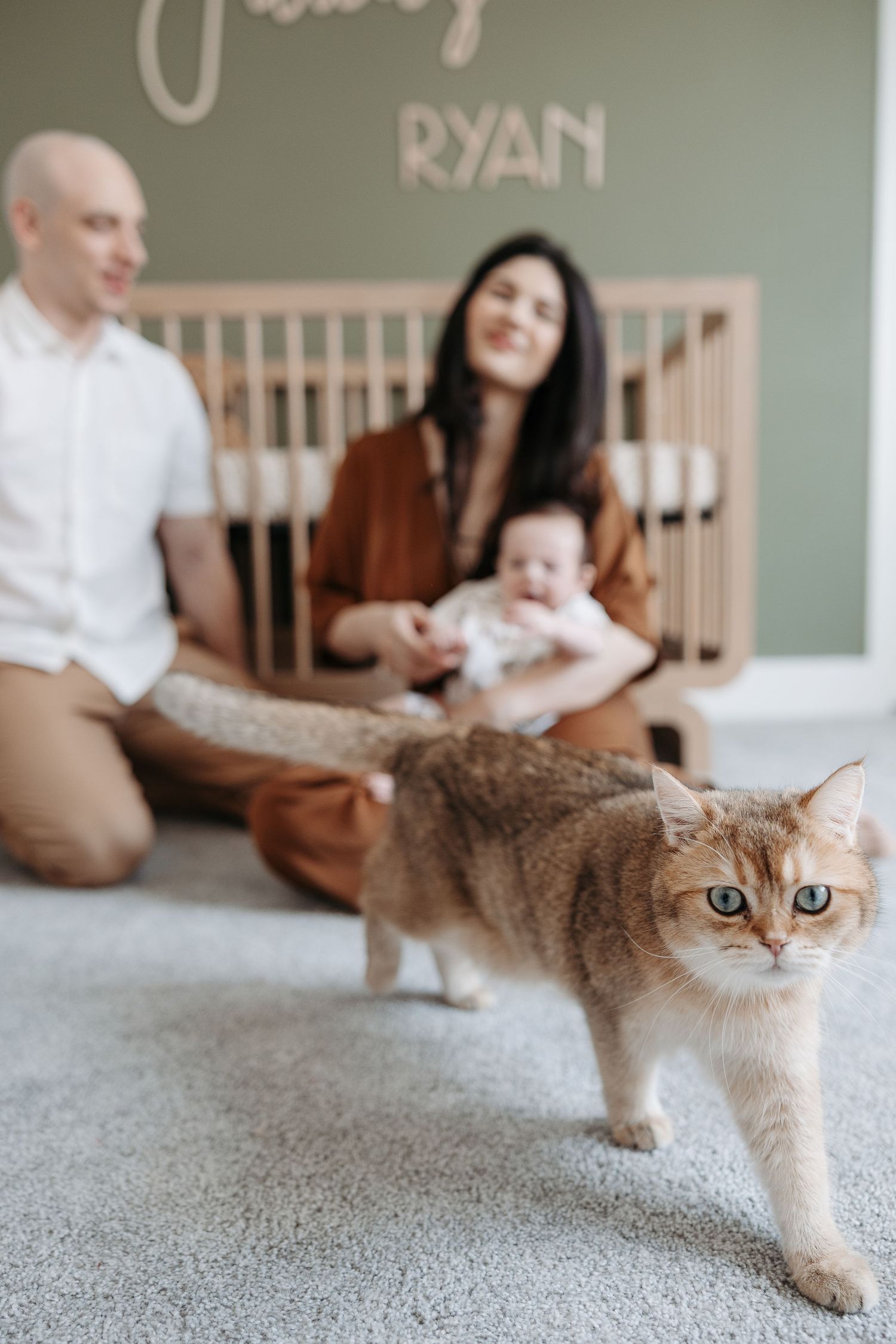 A ginger cat stands in focus as parents smile with their newborn in a nursery.  | Karina Thomson Photography Raleigh NC