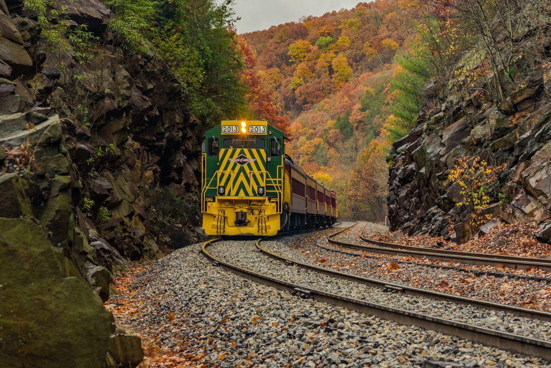 Yellow freight train emerging from a tunnel surrounded by colorful autumn foliage.