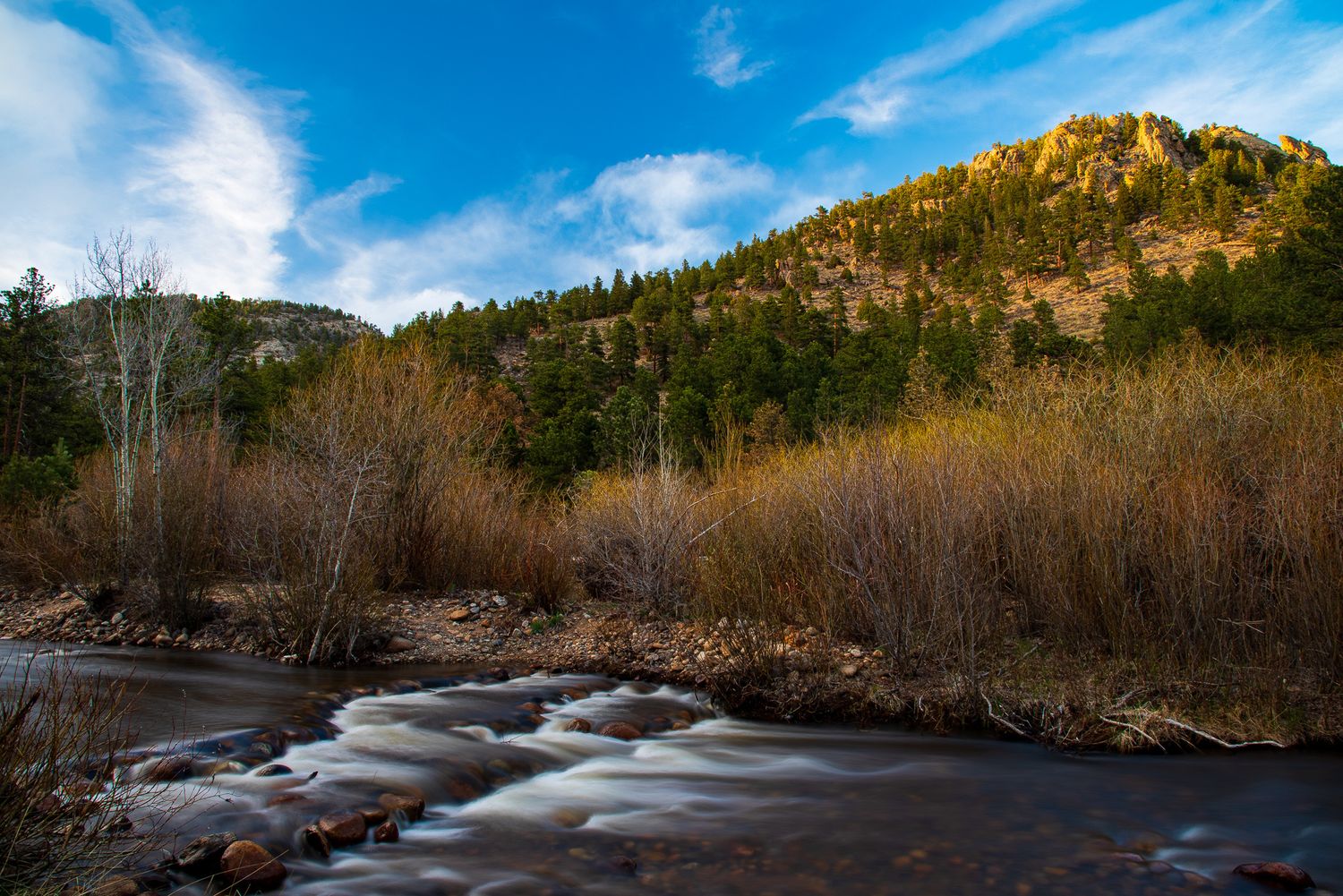 A rocky mountain stream flows through golden brush and evergreen trees beneath a blue sky in Colorado.