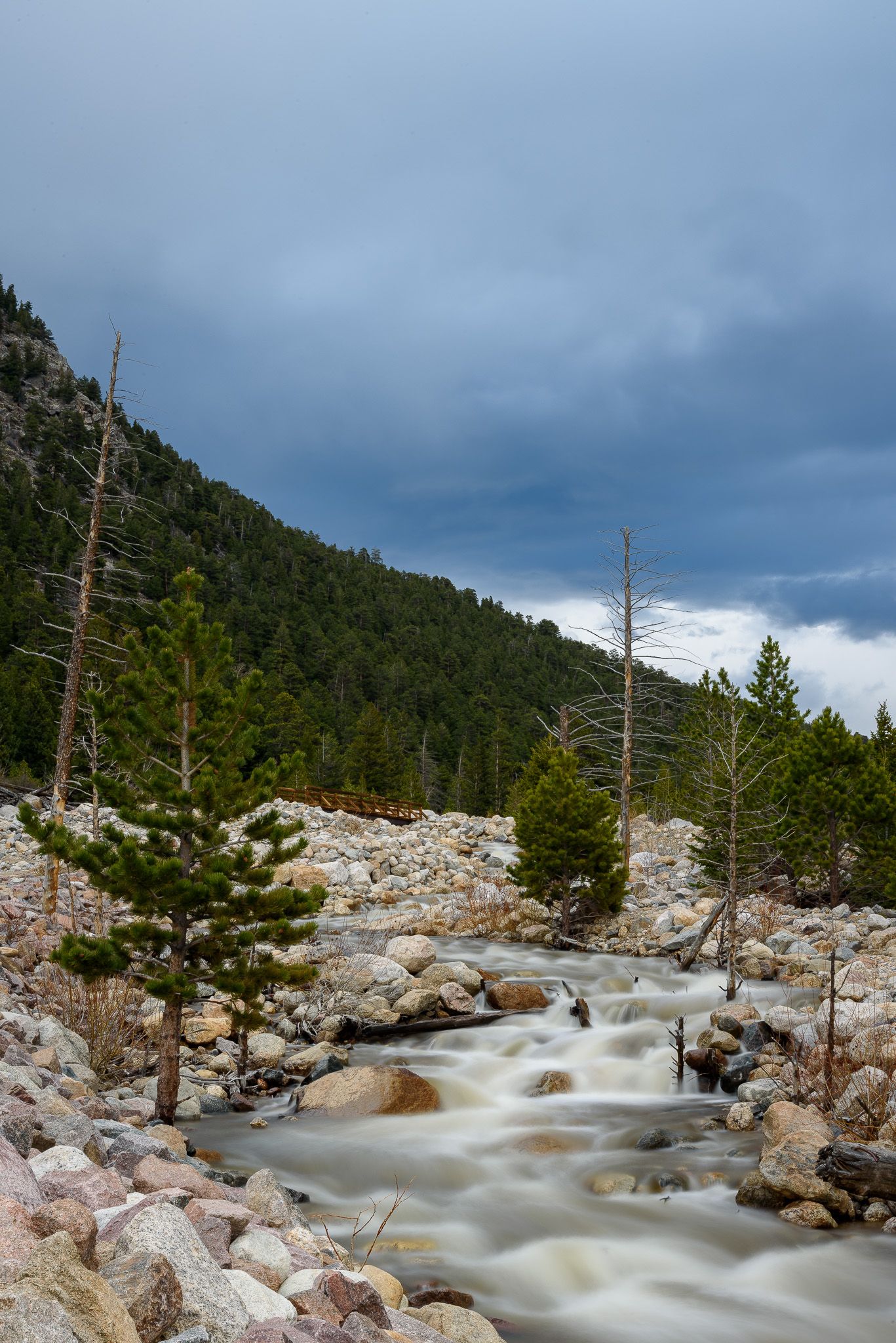 Rocky mountain stream flows over boulders through pine forest under dramatic stormy sky in wilderness landscape.