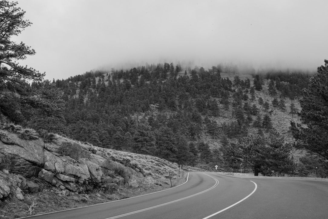 Black and white photo of a winding mountain road lined with pine trees and rocky cliffs under a misty, cloudy sky.