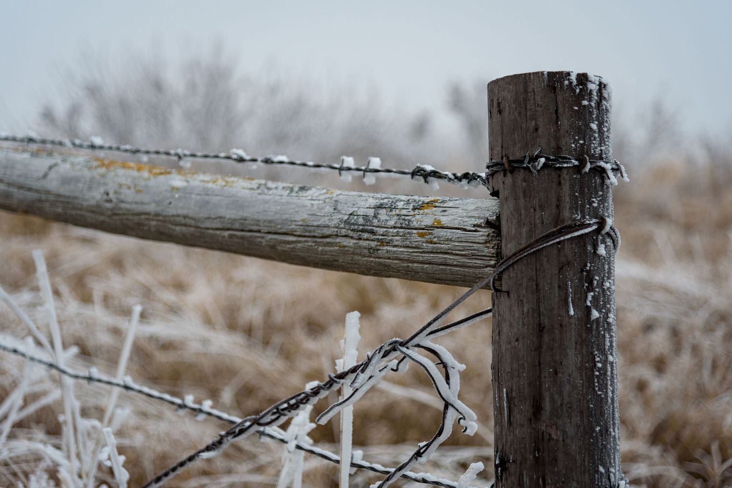 Frost-covered wooden fence post with barbed wire in a winter rural landscape.
