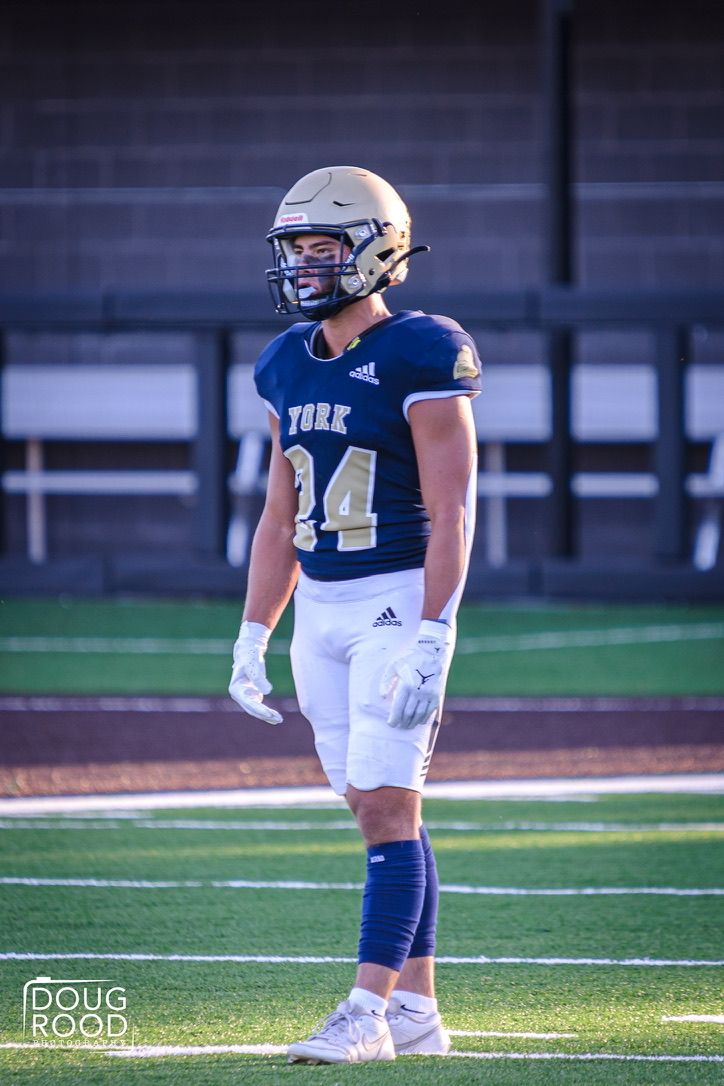 York football player #24 in navy uniform and gold helmet stands on field during a game.