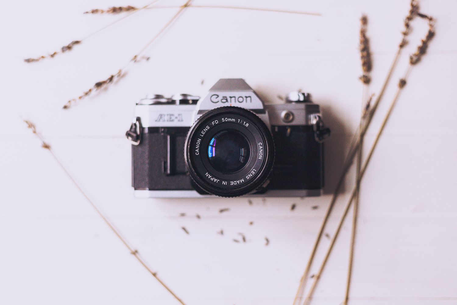 A vintage Canon AE-1 35mm film camera on a white surface with dried lavender stems.