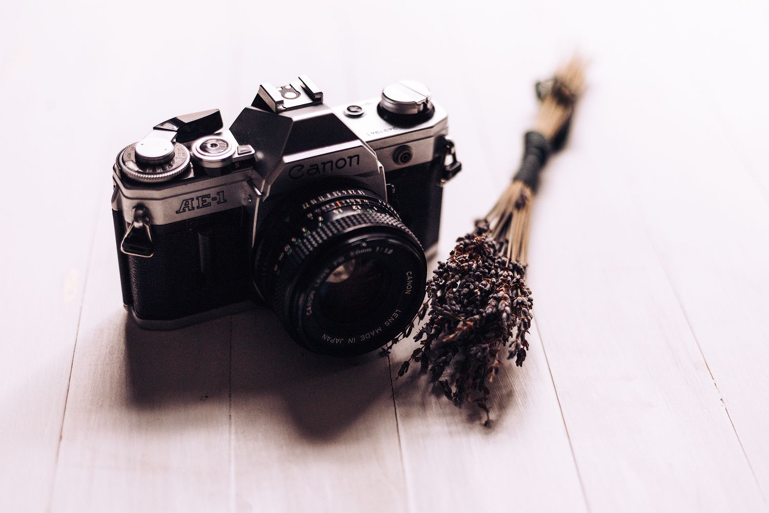 Vintage film camera beside dried lavender flowers on a white wooden surface.