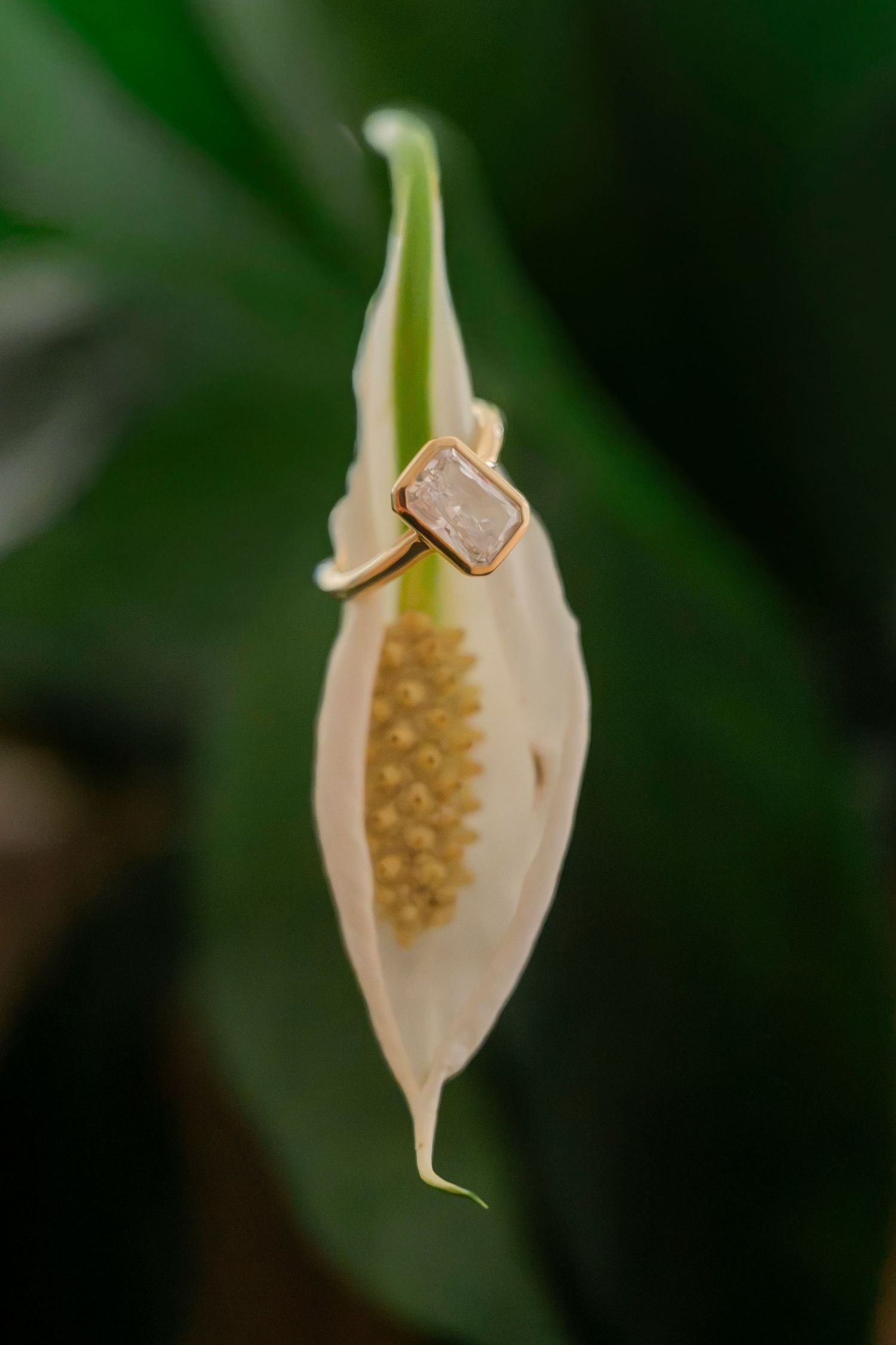 Ring photo on flower