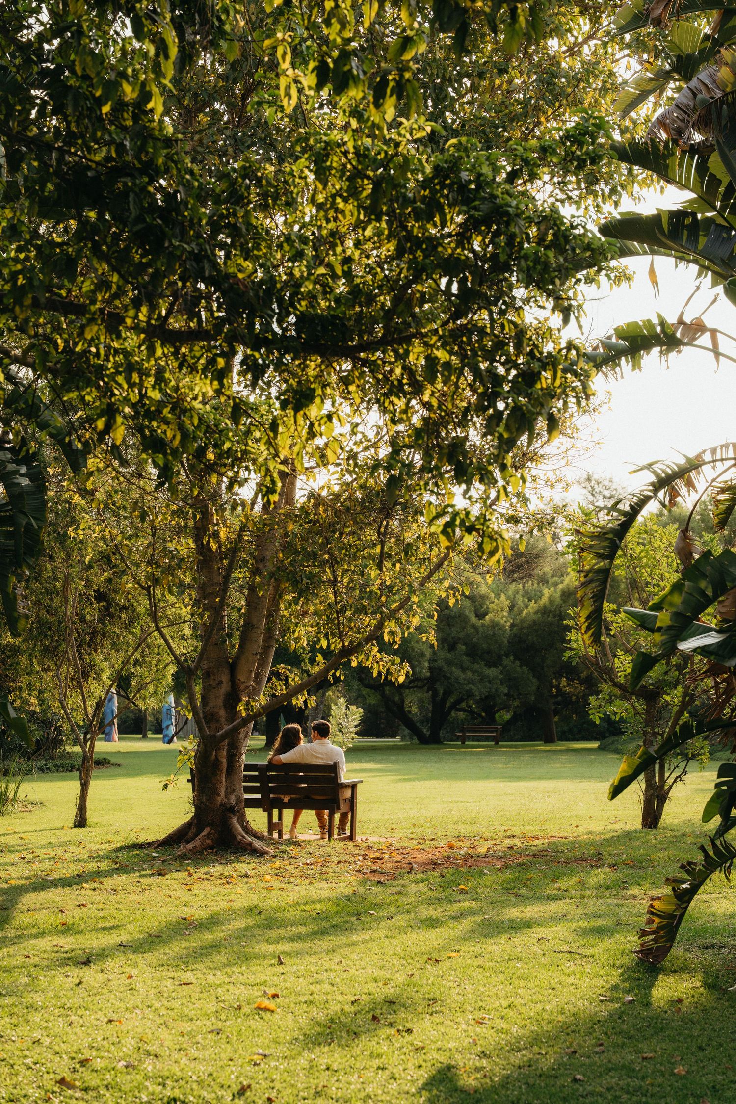 Couple sitting together on a wooden bench under a large tree in a lush green park during golden hour.