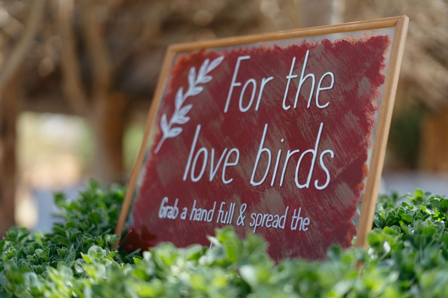 Close-up of a red wedding sign reading 'For the love birds' surrounded by green foliage.