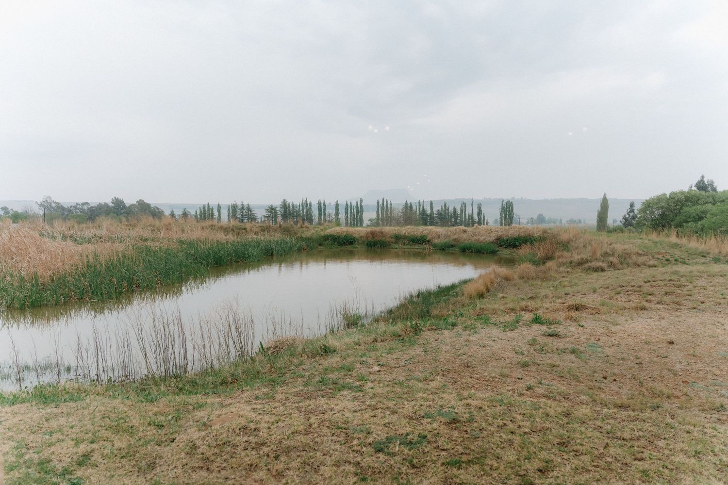 Rural landscape panorama with distant trees and open fields under cloudy sky.
