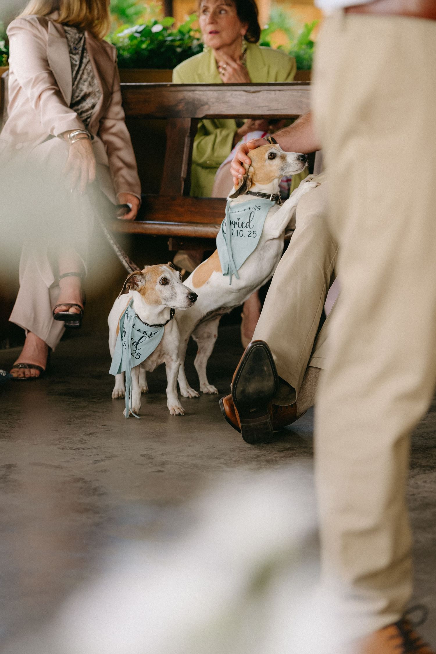 Small white dog sits with people in formal attire during wedding preparations.