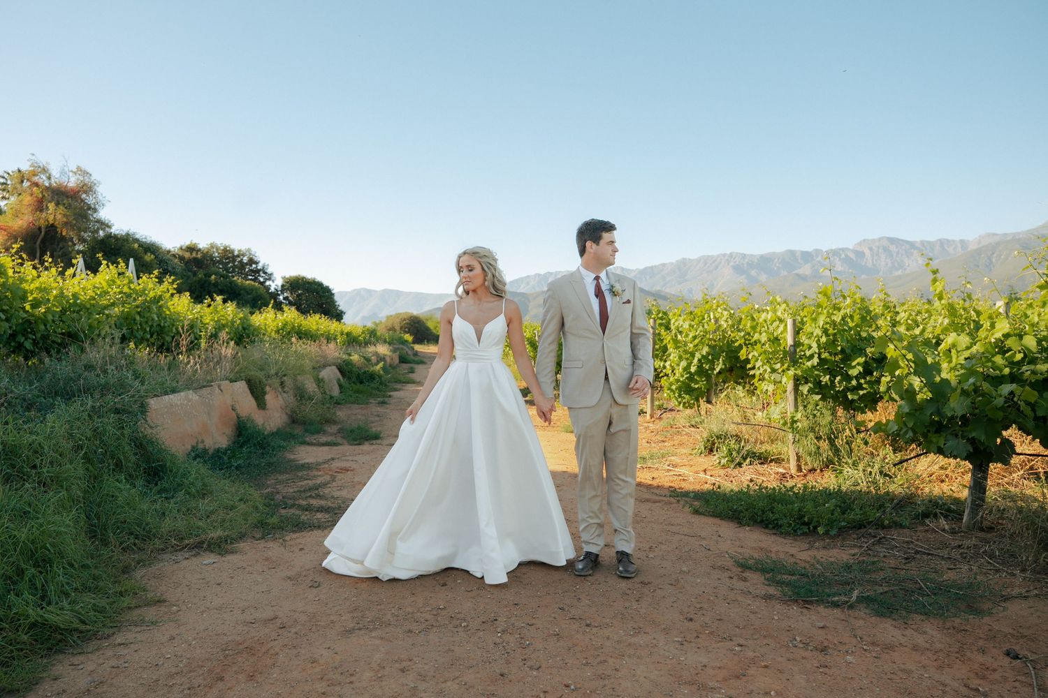Bride in a white gown and groom in a tan suit hold hands on a dirt path between vineyard rows with mountains in the background.