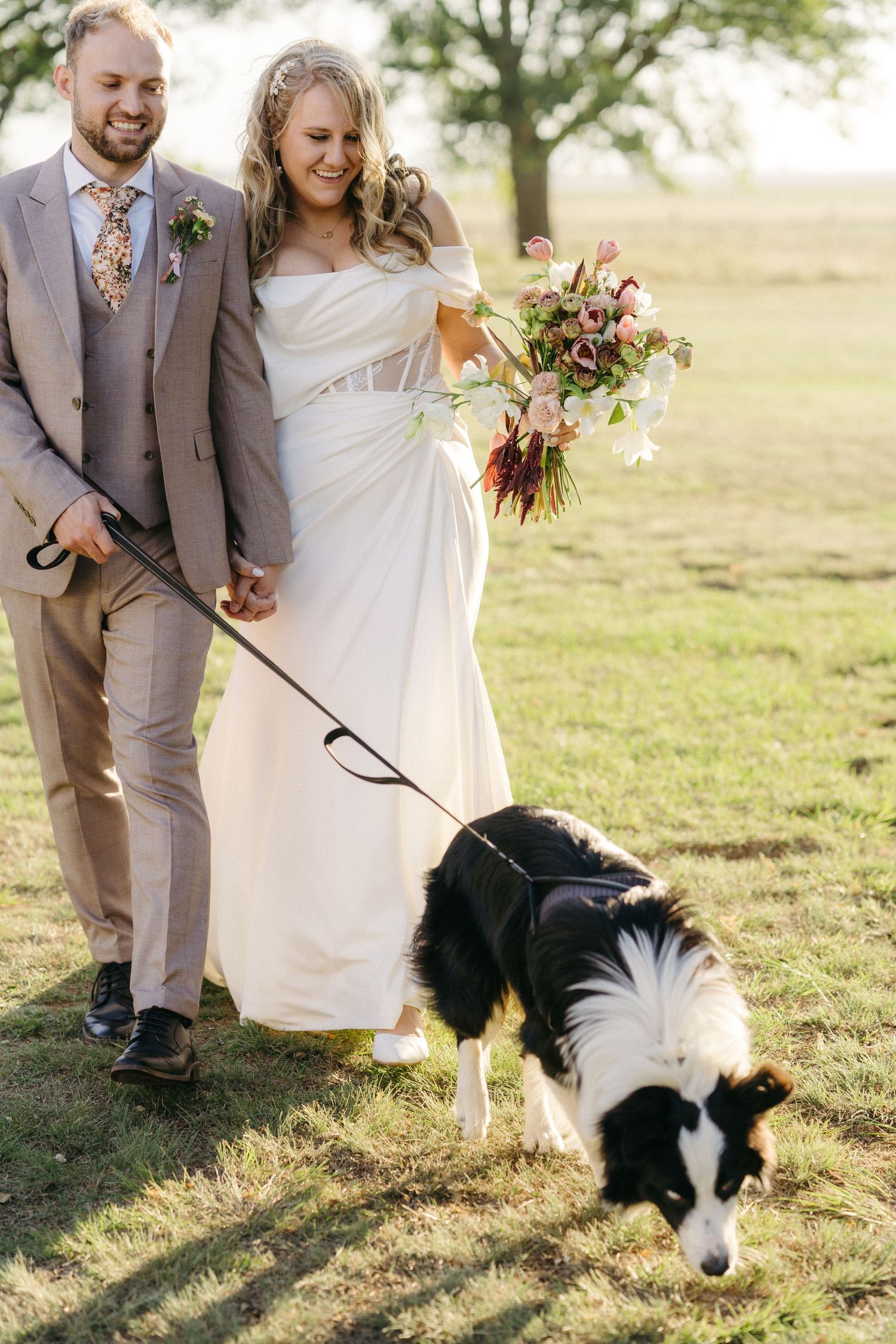 A couple and their border collie dog celebrate their wedding day in a sunny field.