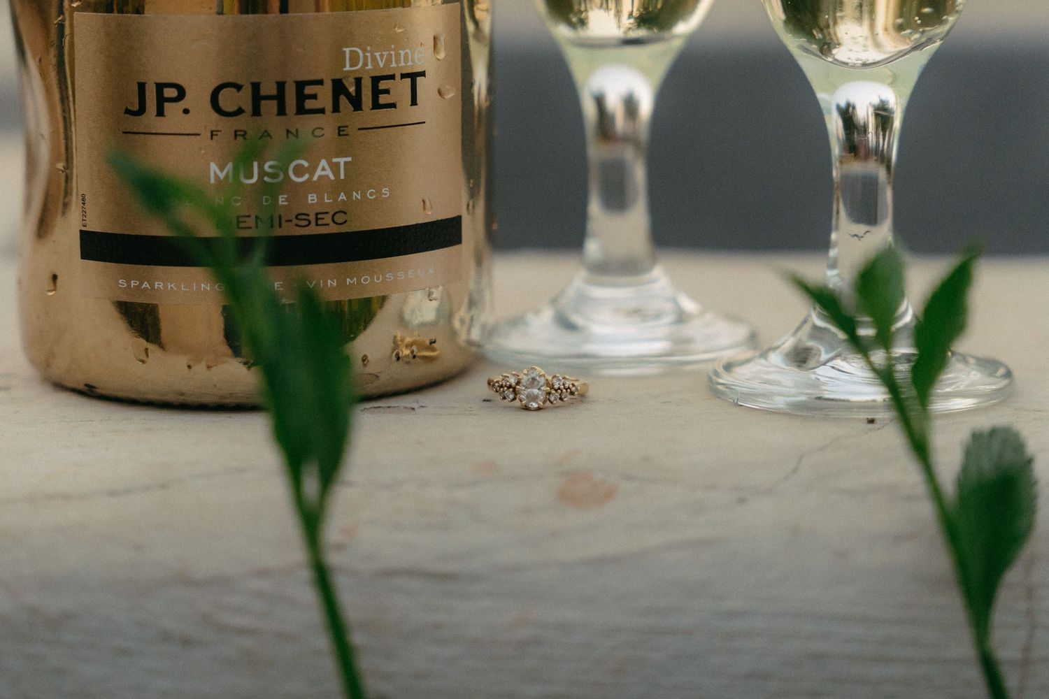 Row of vintage wine bottles arranged on display with green foliage in background.