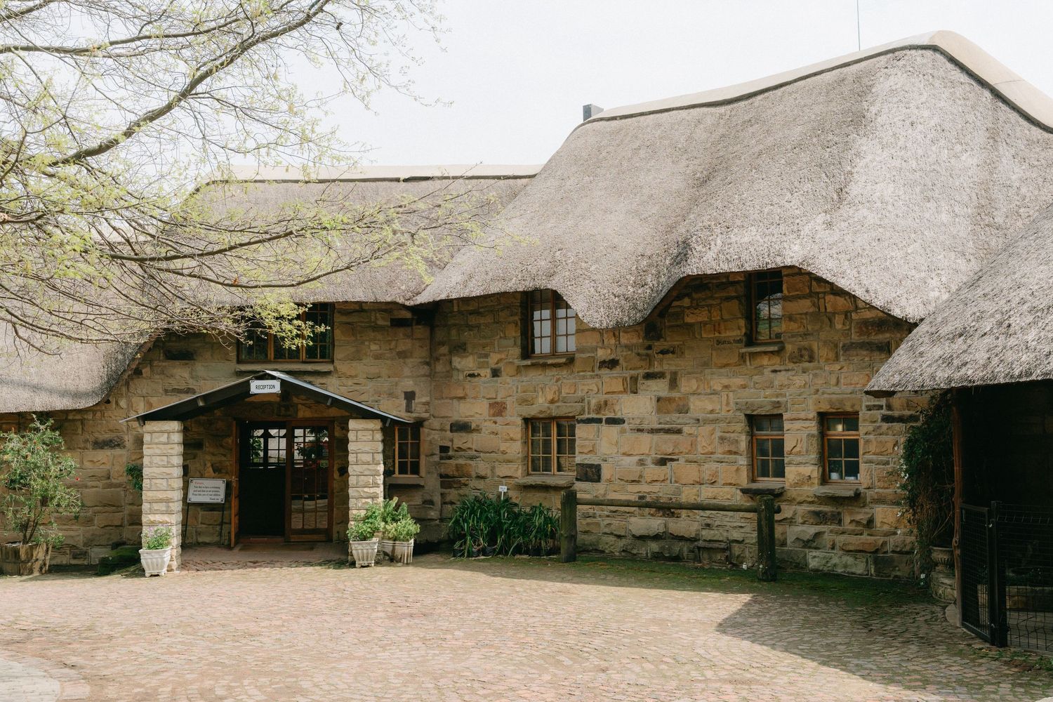 Row of rustic log cabin buildings with thatched roofs in natural setting.