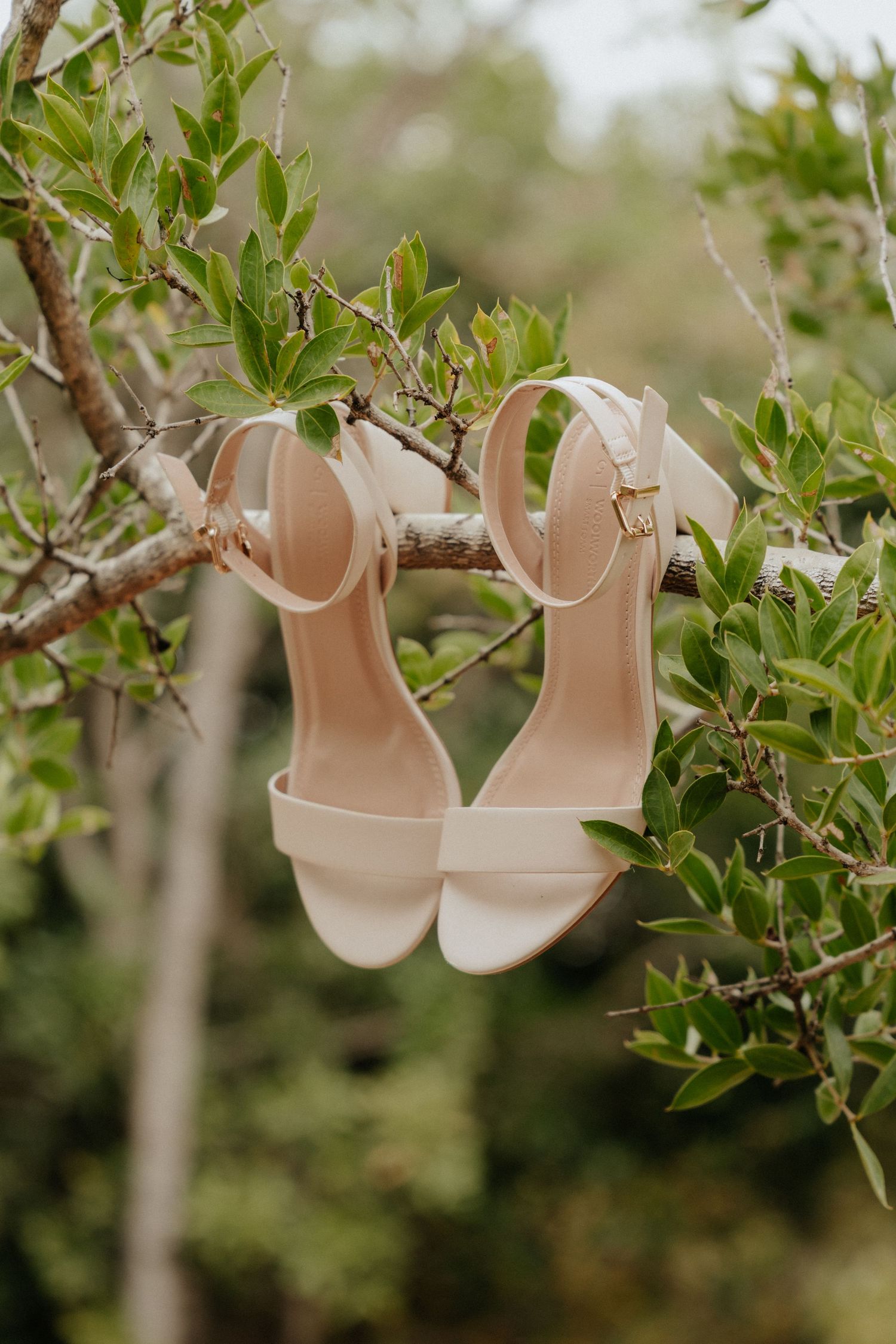 Elegant white bridal sandals hanging on green tree branches.