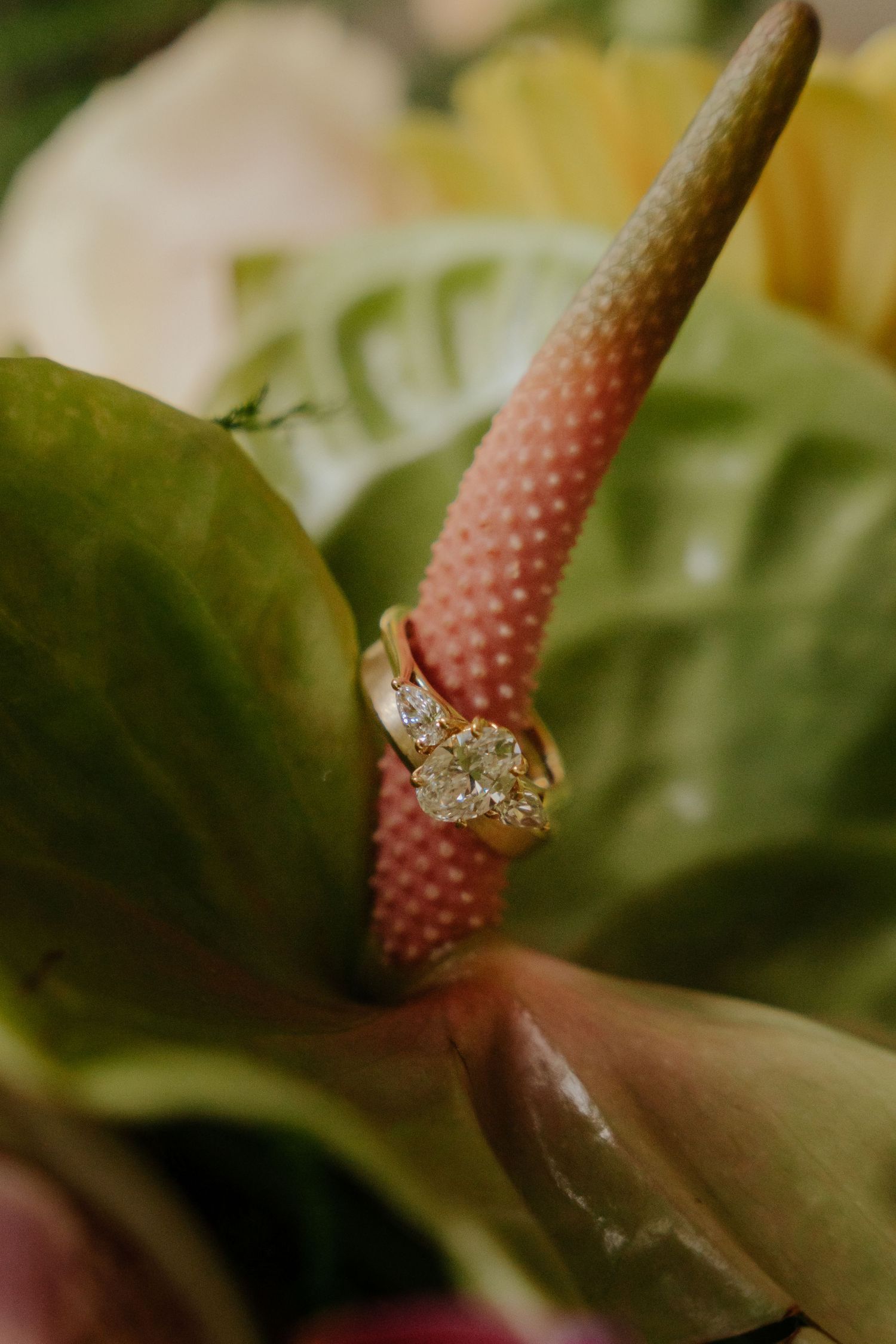 Close-up macro sequence showing a sparkling diamond engagement ring being placed on a pink flower stem.