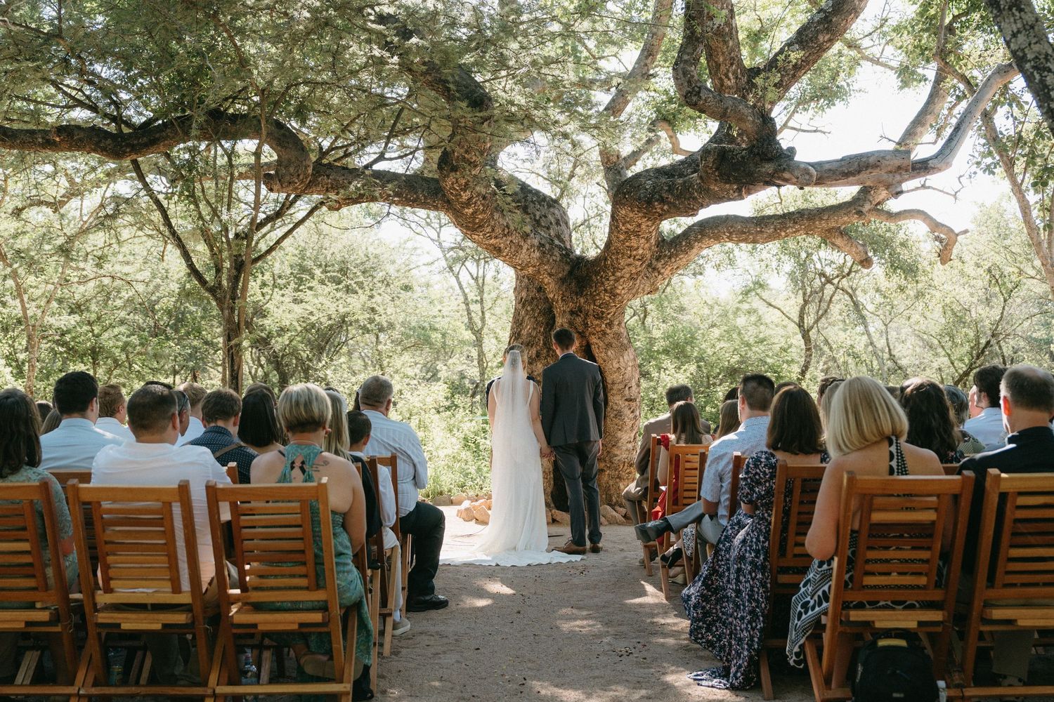 Wedding ceremony under a large oak tree with guests seated in wooden chairs along an outdoor aisle.