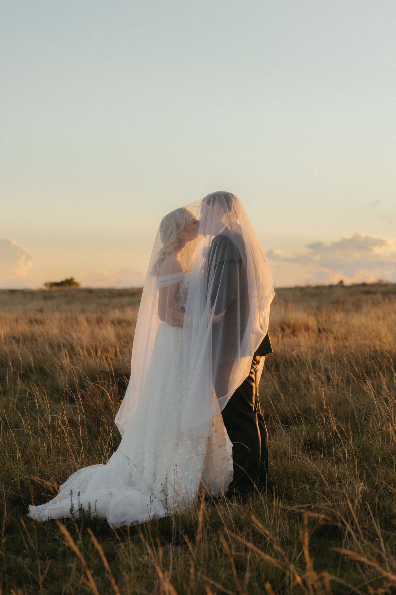 Bride and groom kiss beneath her flowing veil in a sun-drenched open field near Frankfort in the Free State, South Africa