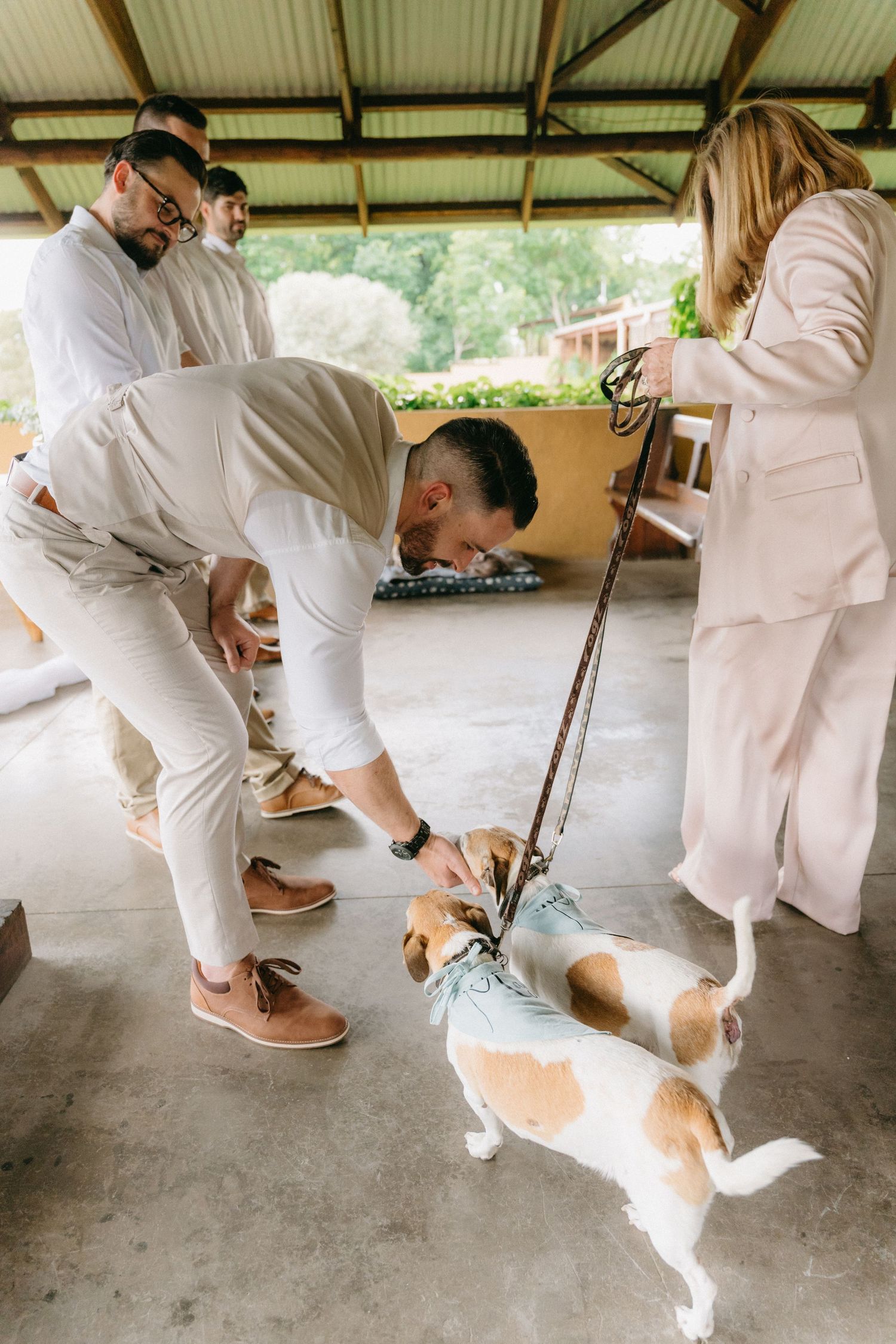 Dog wearing light blue bandana sits on floor during wedding preparations.