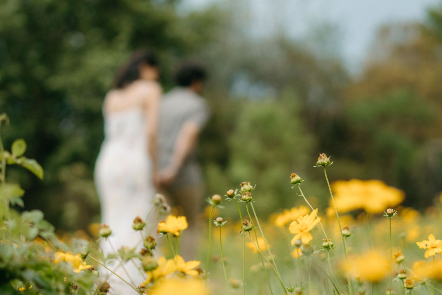 An artistic shot of a couple standing in a field of yellow wildflowers, with soft focus in the foreground.