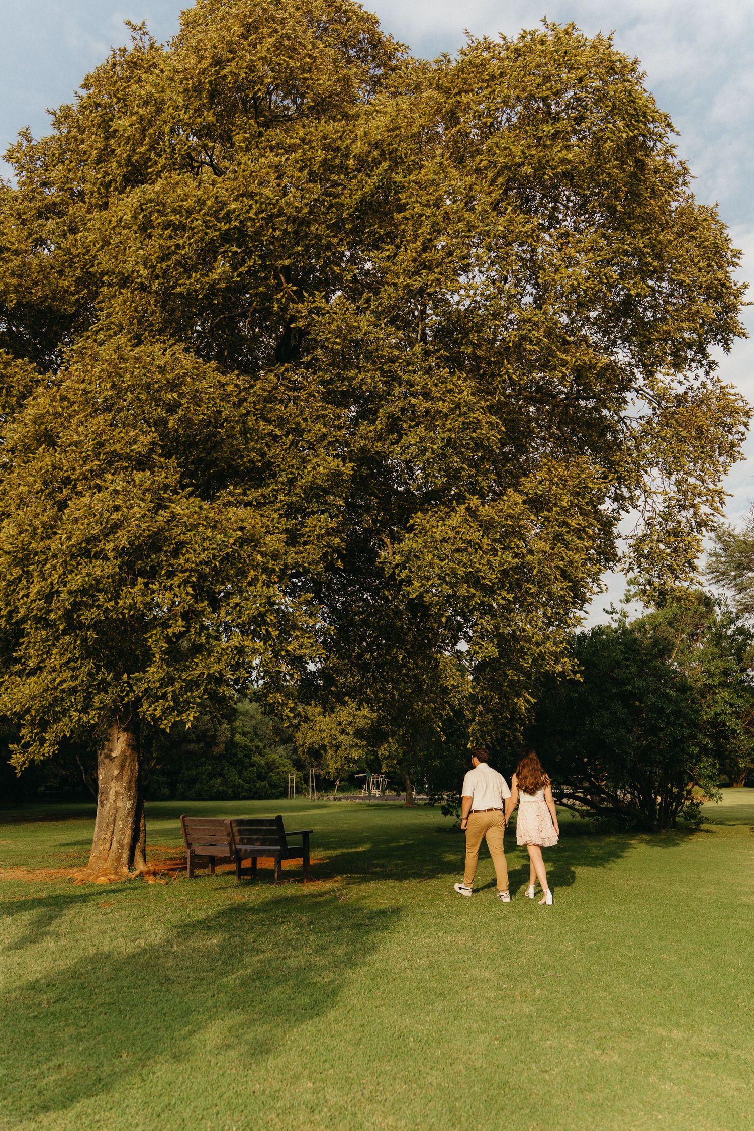 Couple holding hands walking toward a large green tree in a sunny park with a wooden bench nearby.
