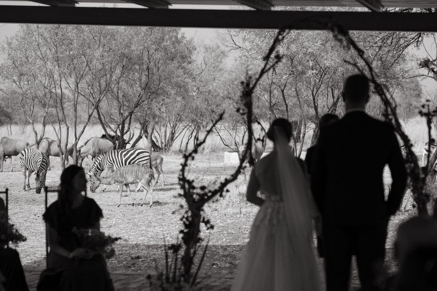 A silhouetted wedding ceremony scene framed by trees and natural light.