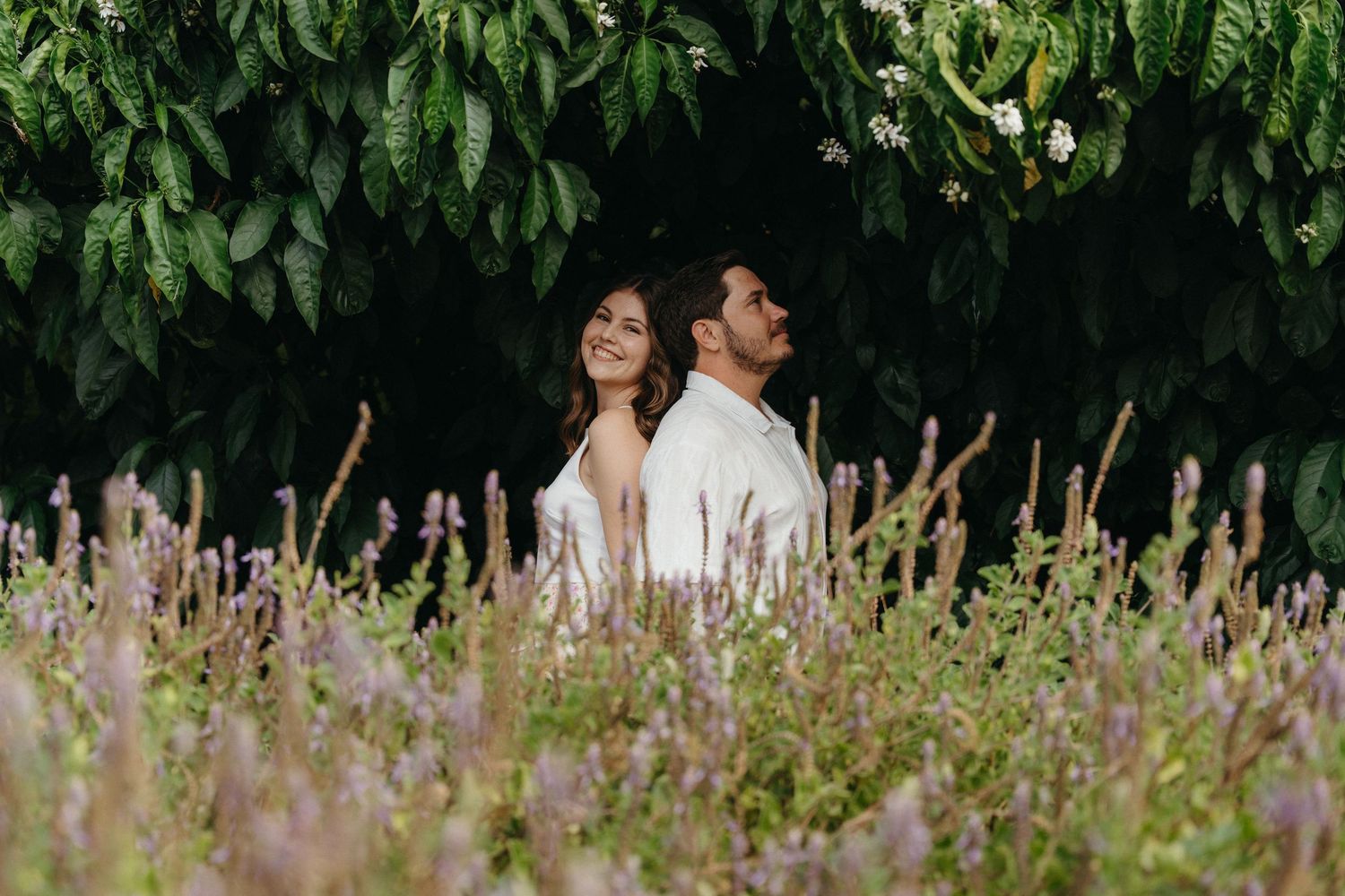 Couple standing back-to-back in a lavender field with lush green trees, romantic outdoor engagement photography.