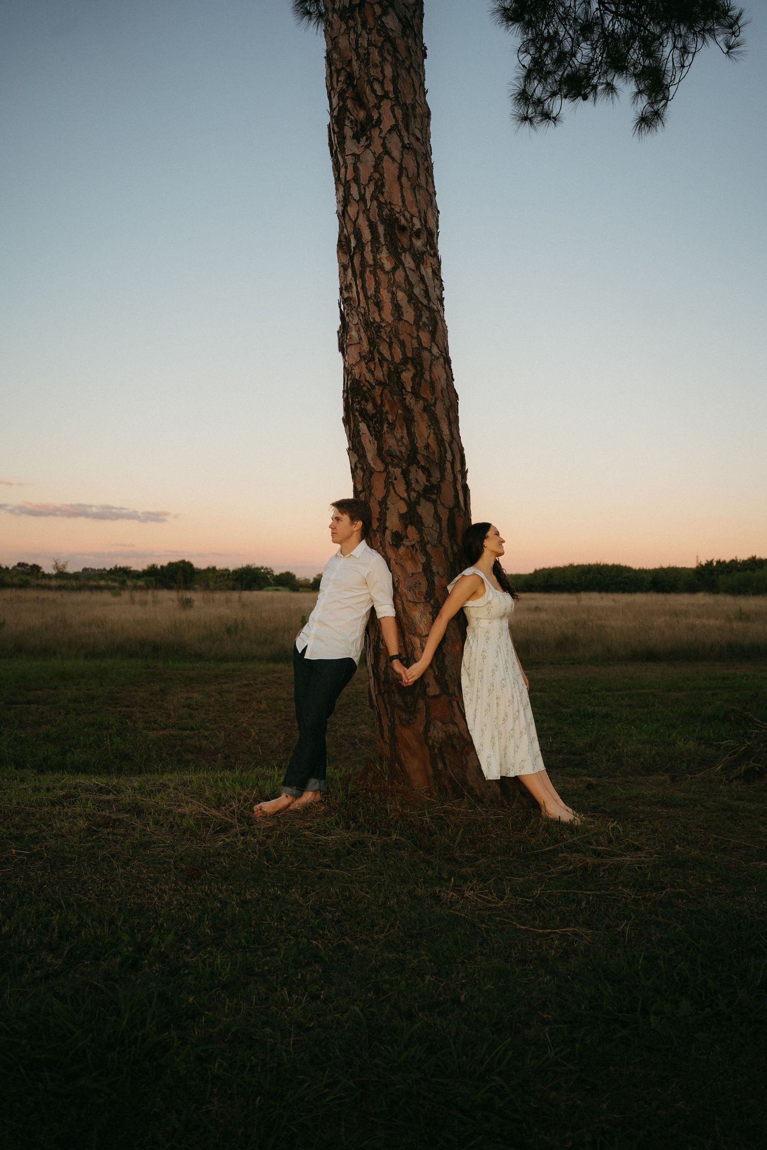 A couple in white and casual attire poses playfully on opposite sides of a large pine tree at sunset.