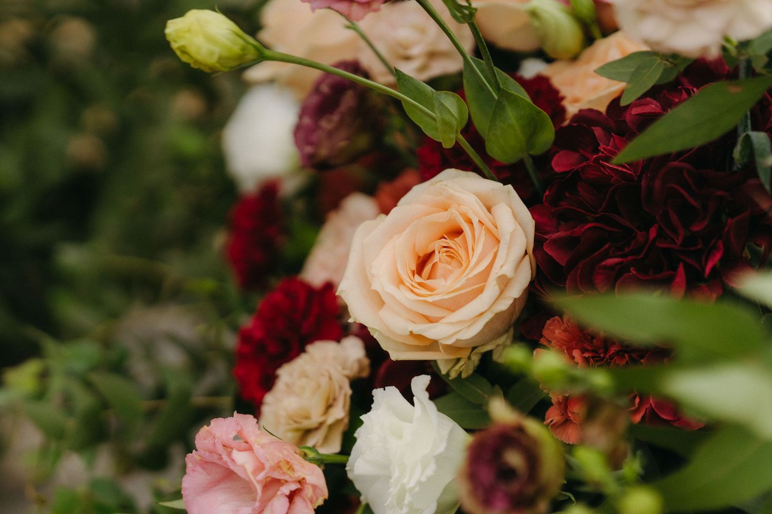 A romantic bouquet of light peach roses and deep burgundy flowers with lush green foliage in soft focus.