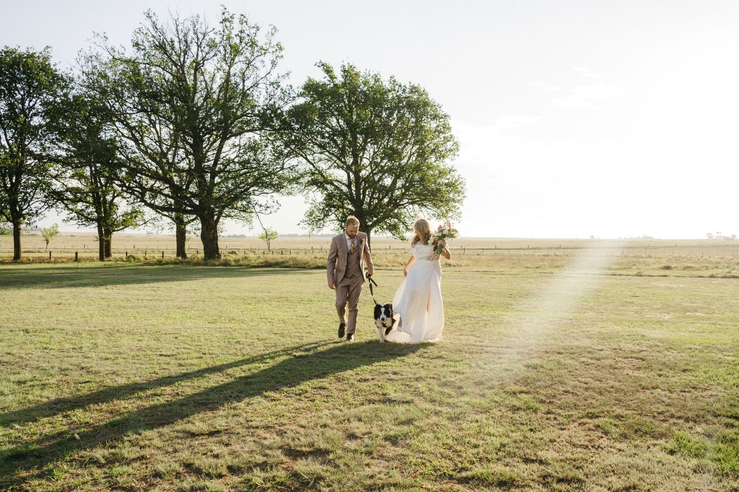 Newlyweds walk hand in hand through sunlit field with trees at golden hour.