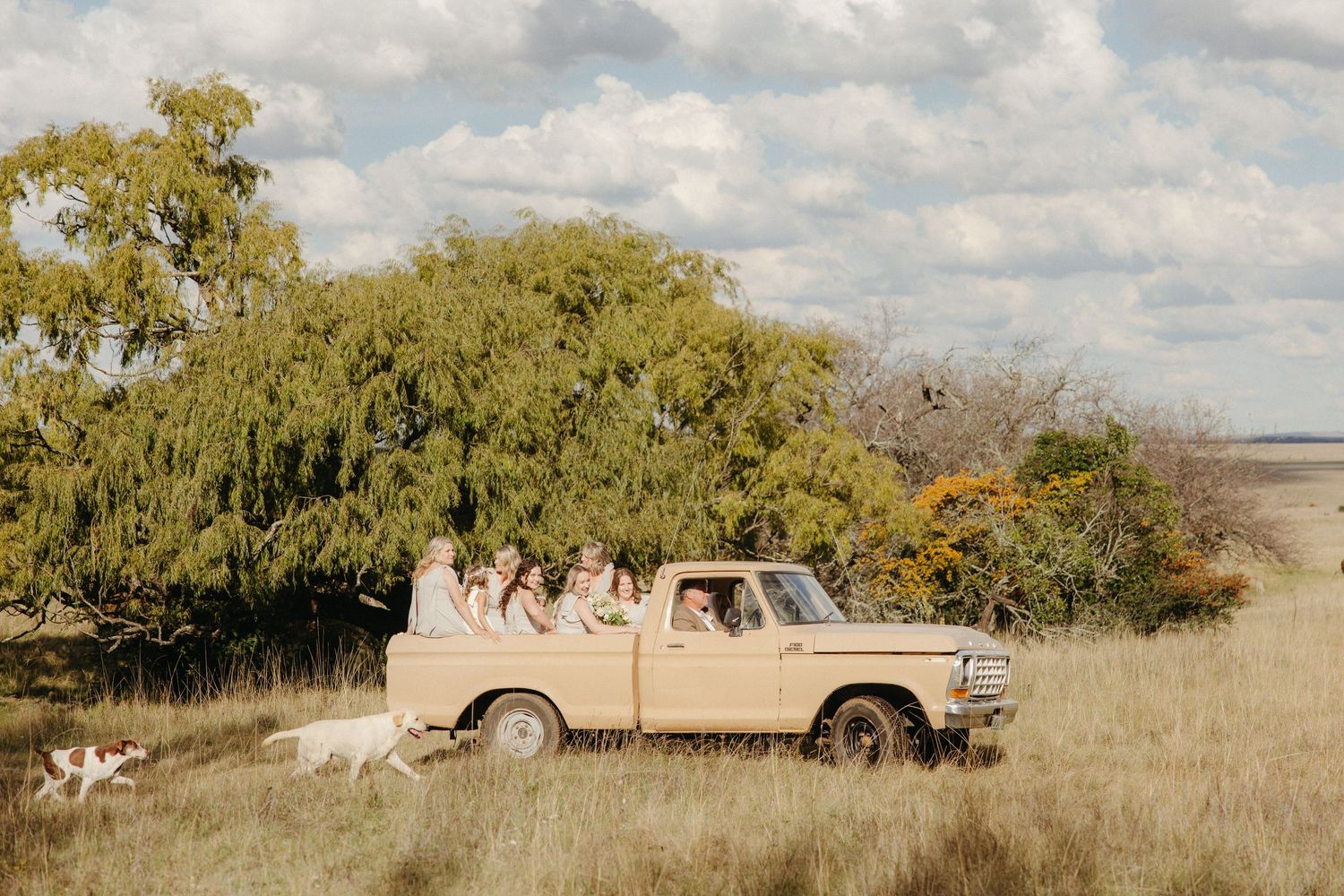 Bridesmaids riding in a vintage tan pickup truck through golden fields with a dog running alongside.